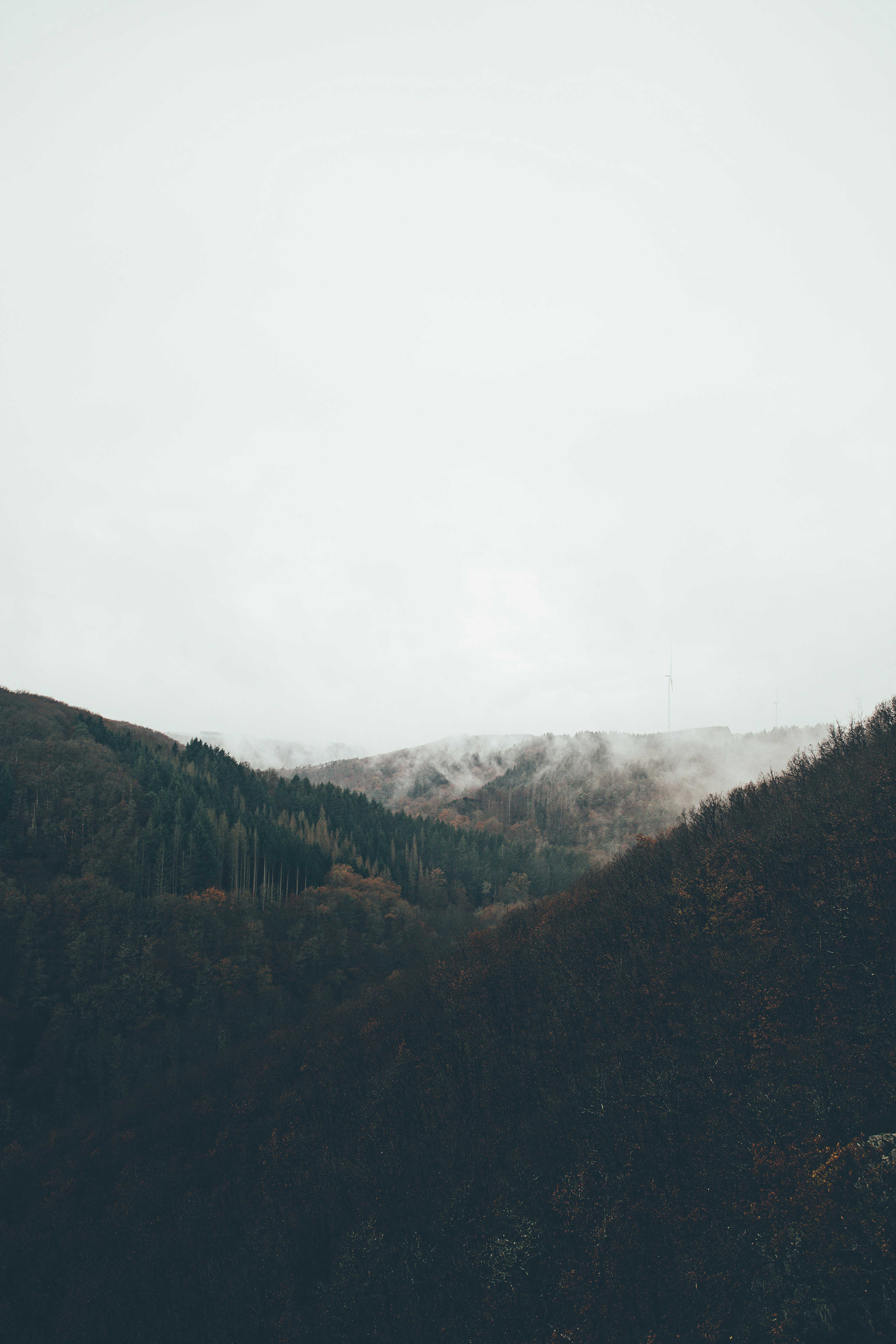 Photo by swagstreetboi