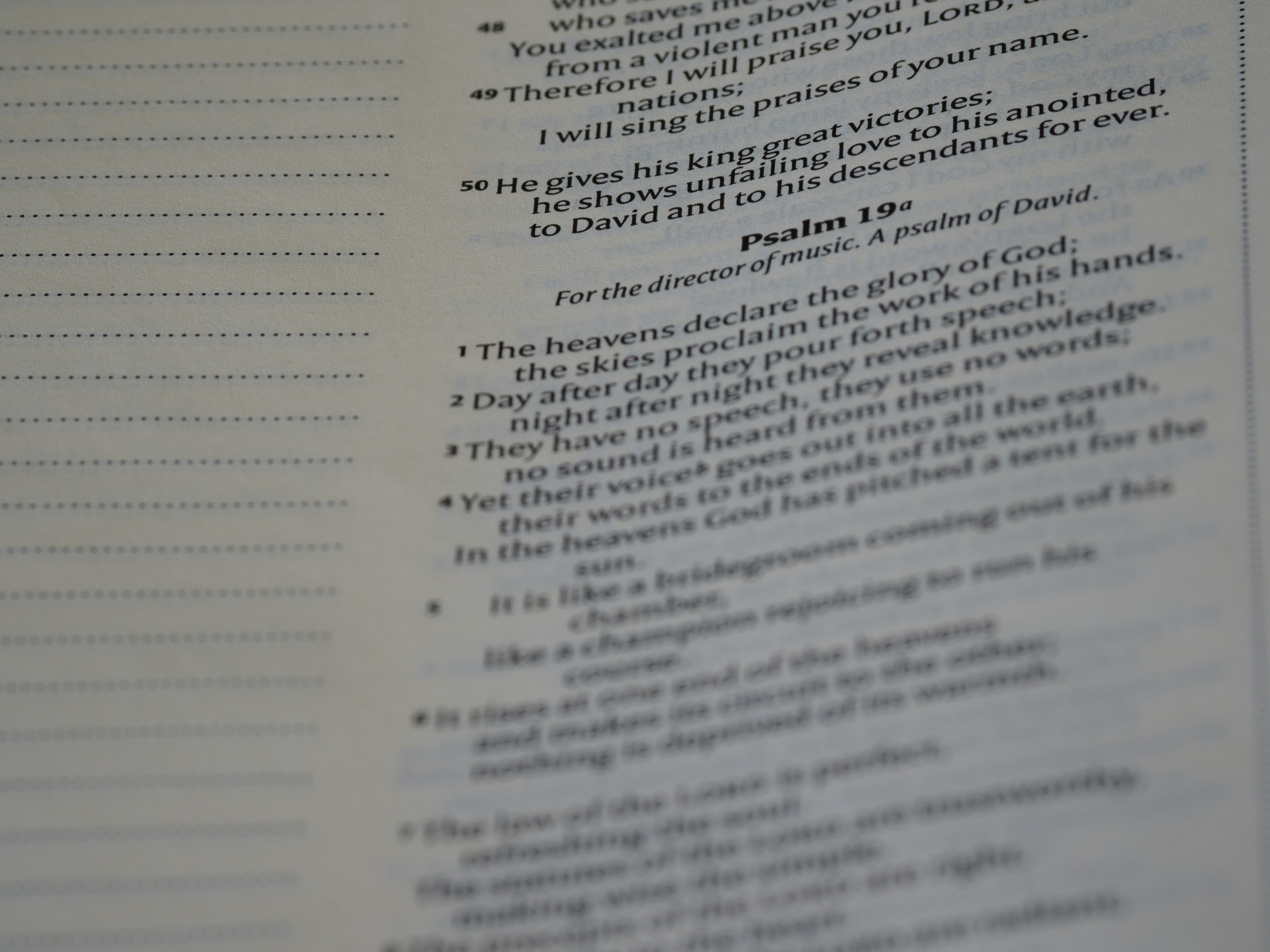 Photo by brett_jordan