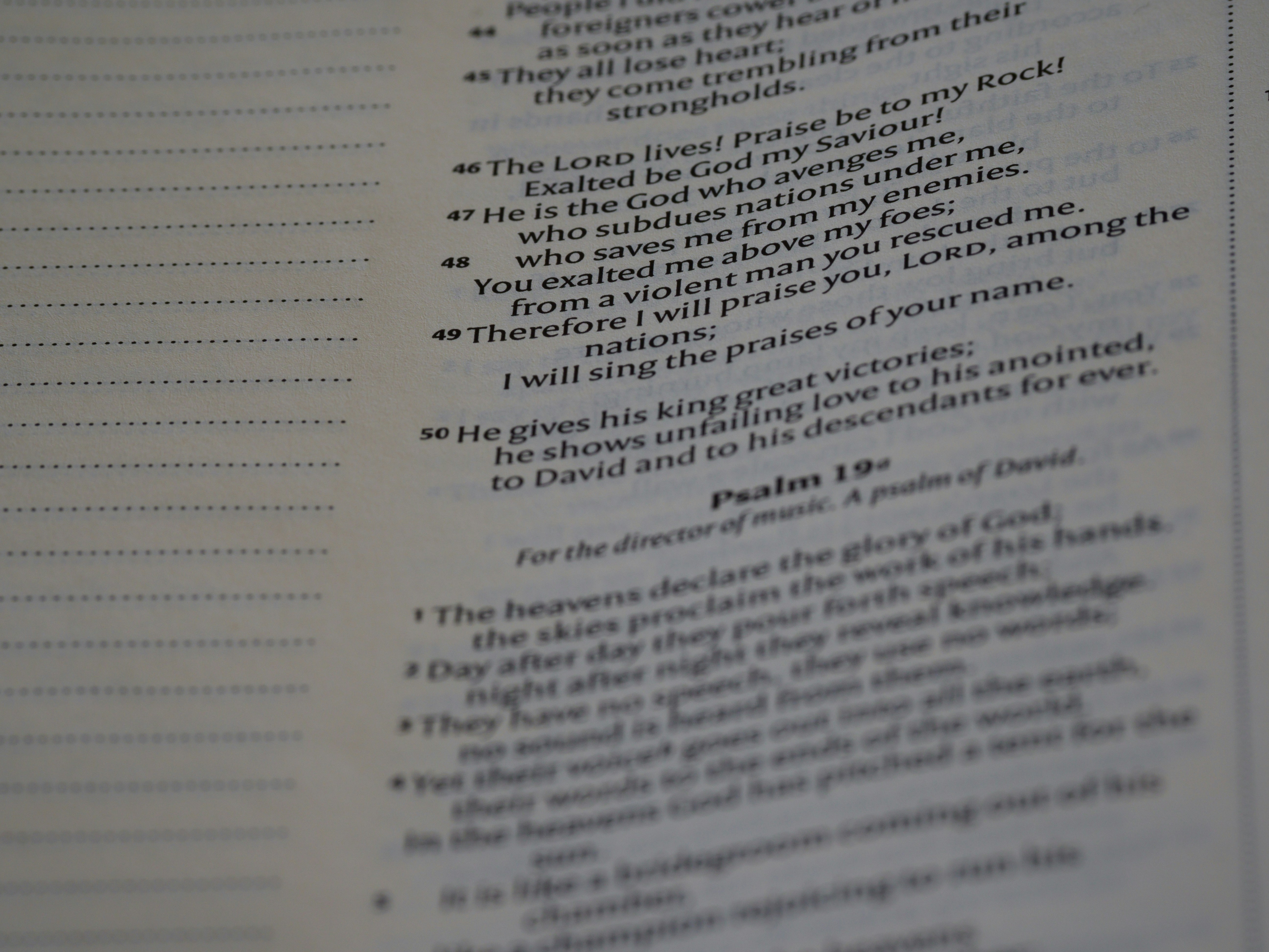 Photo by brett_jordan