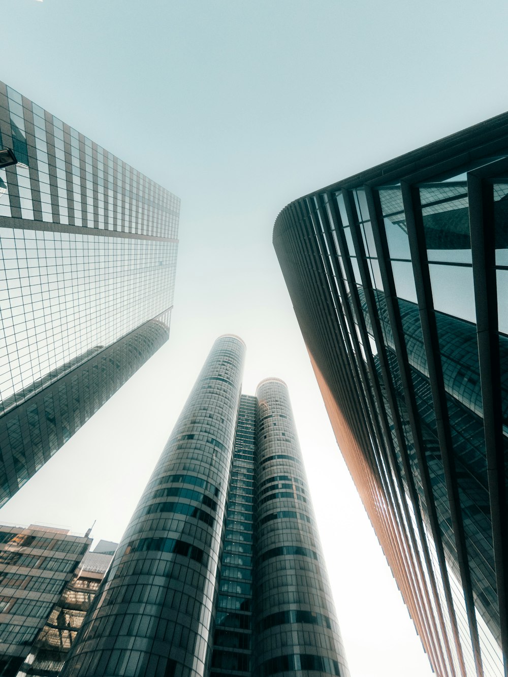 looking up at tall buildings in a city