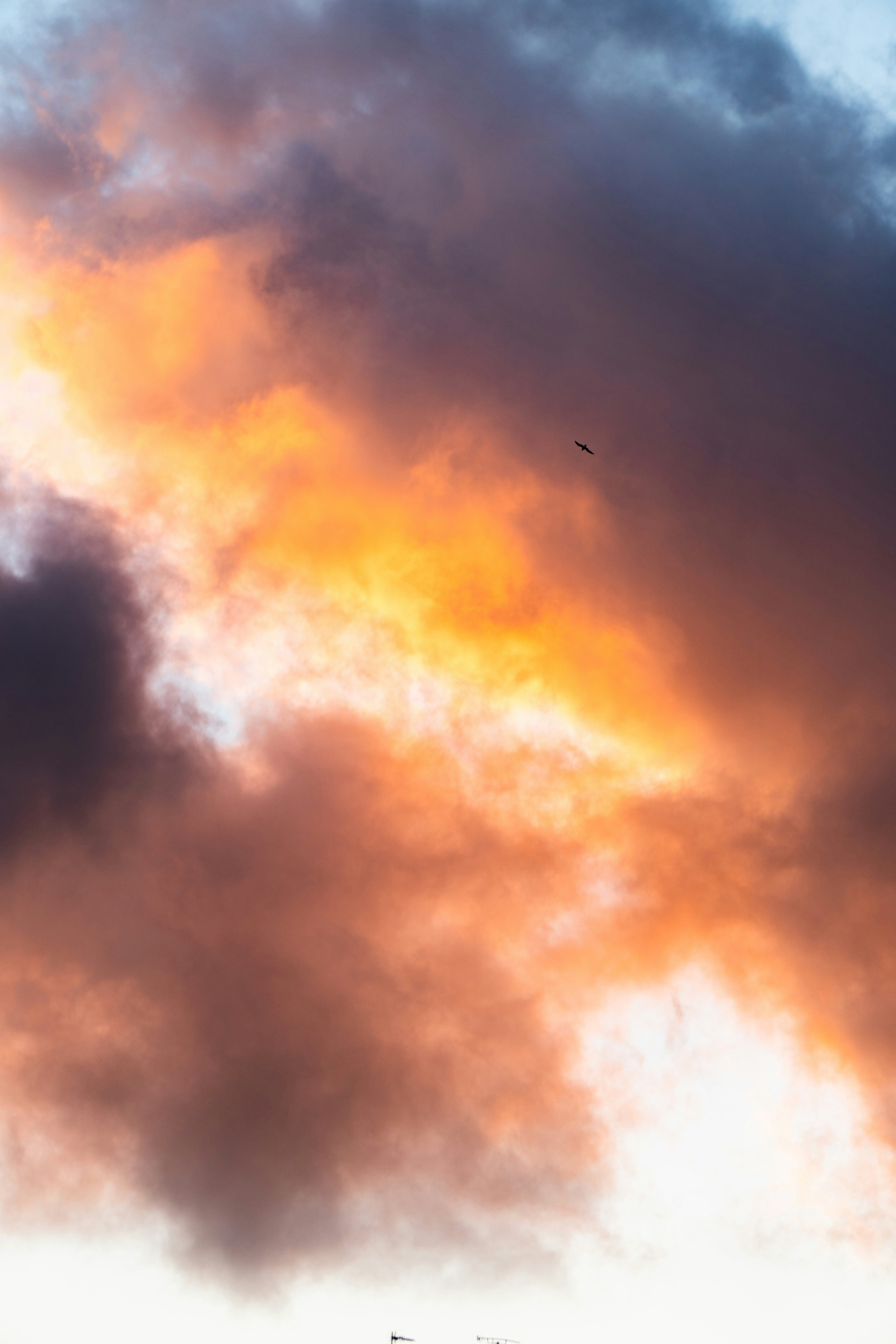 Photo by bastien_nvs