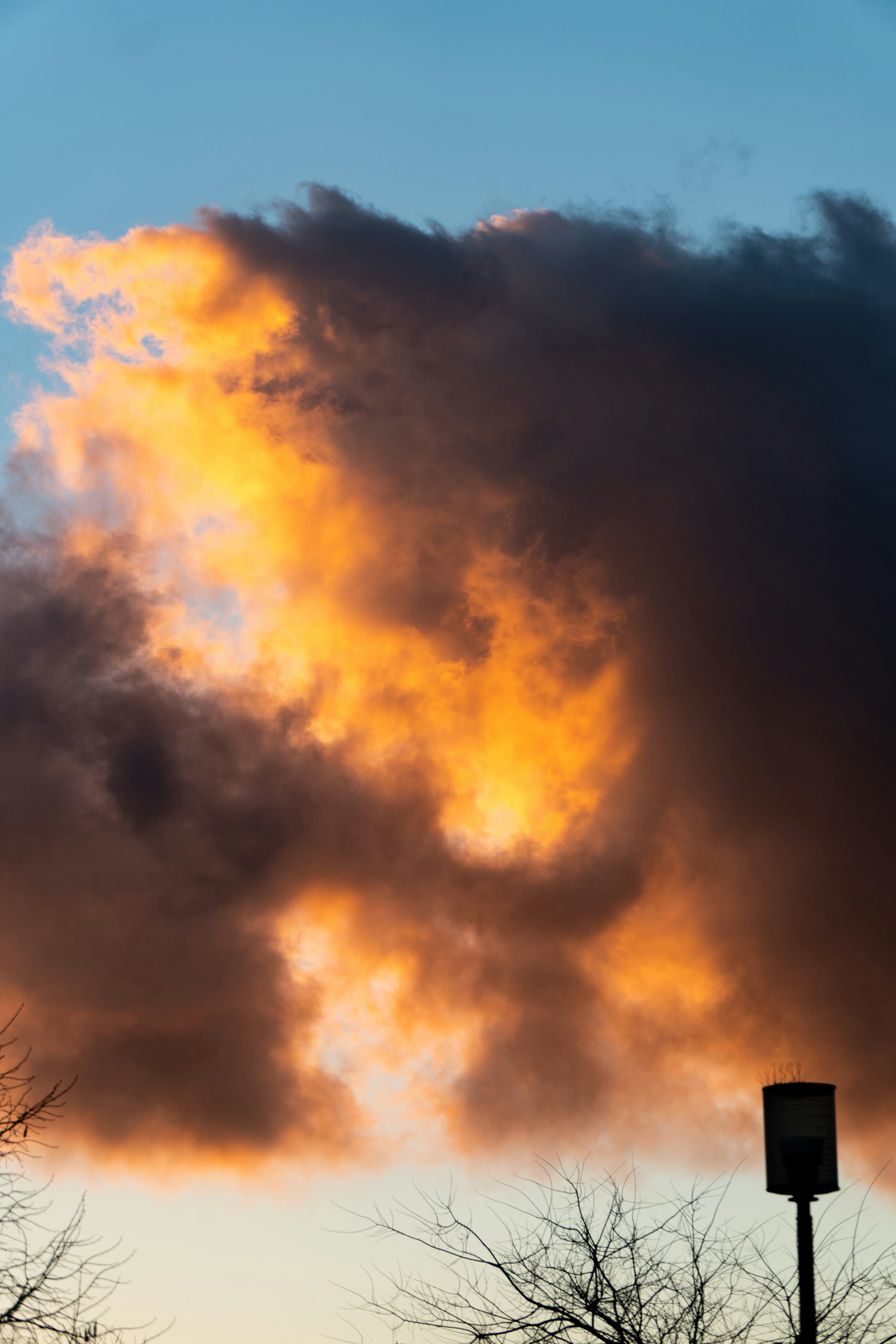 A large cloud is in the sky above some trees photo – Free City Image on ...