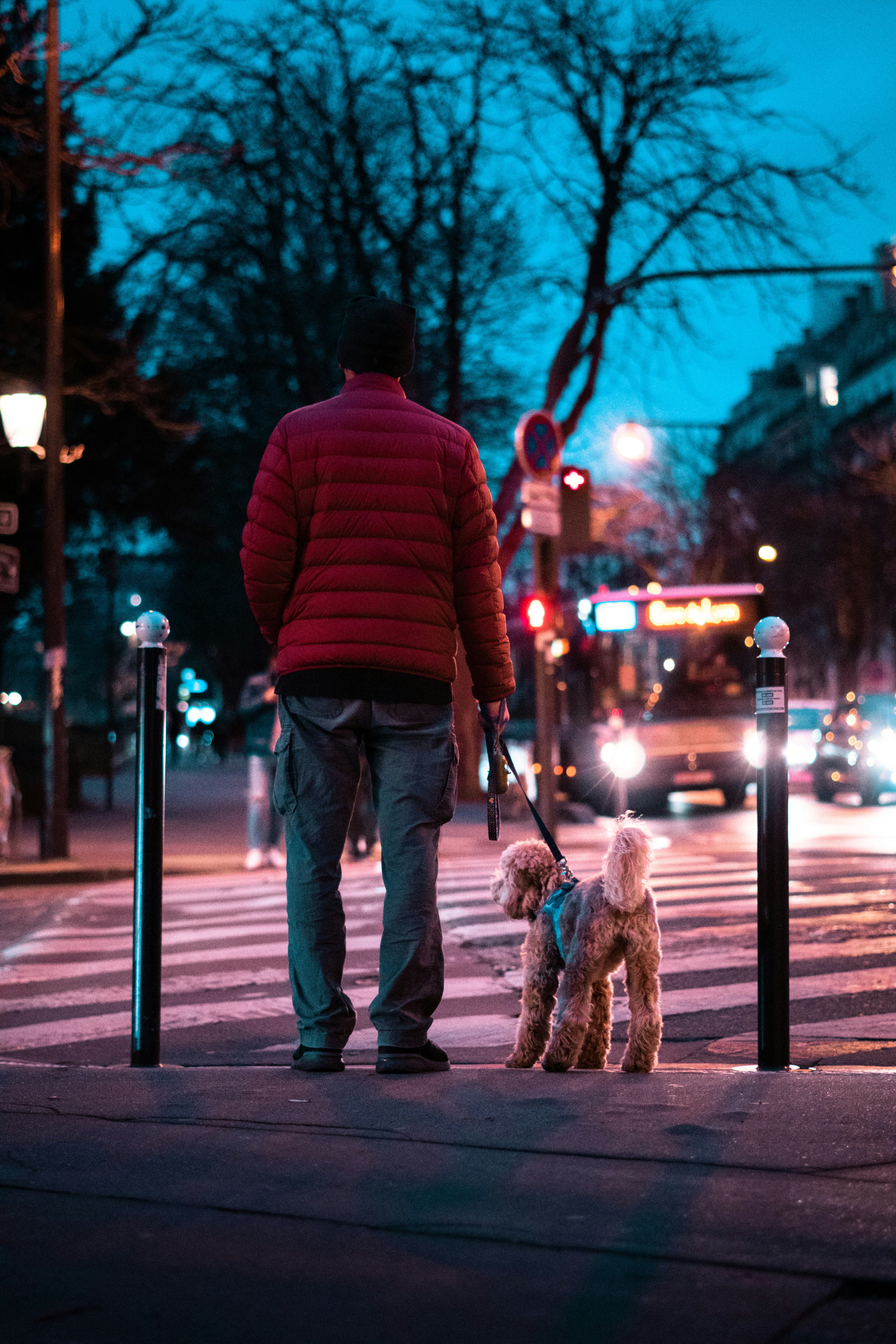 Photo by bastien_nvs