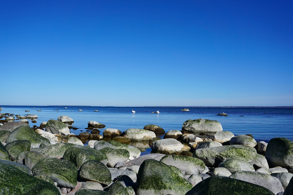 a beach with rocks and a body of water