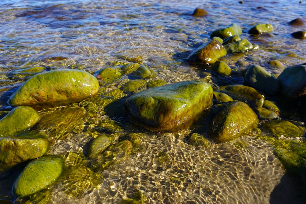 a bunch of rocks that are in the water