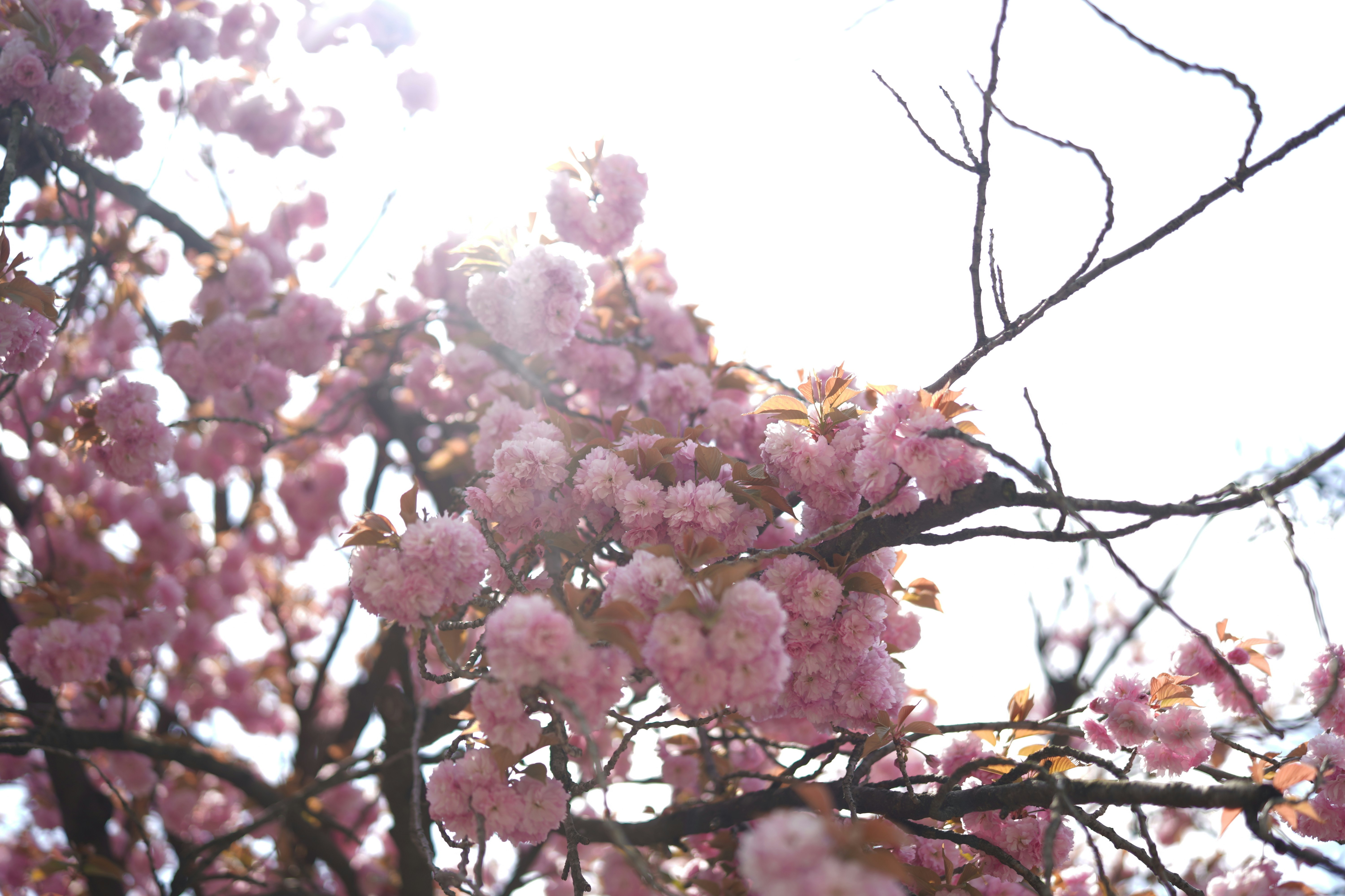 Photo by uelawfirm