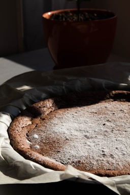 A freshly baked chocolate cake sprinkled with powdered sugar sits on parchment paper. In the background, there is a brown potted plant, casting shadows in the soft natural light.