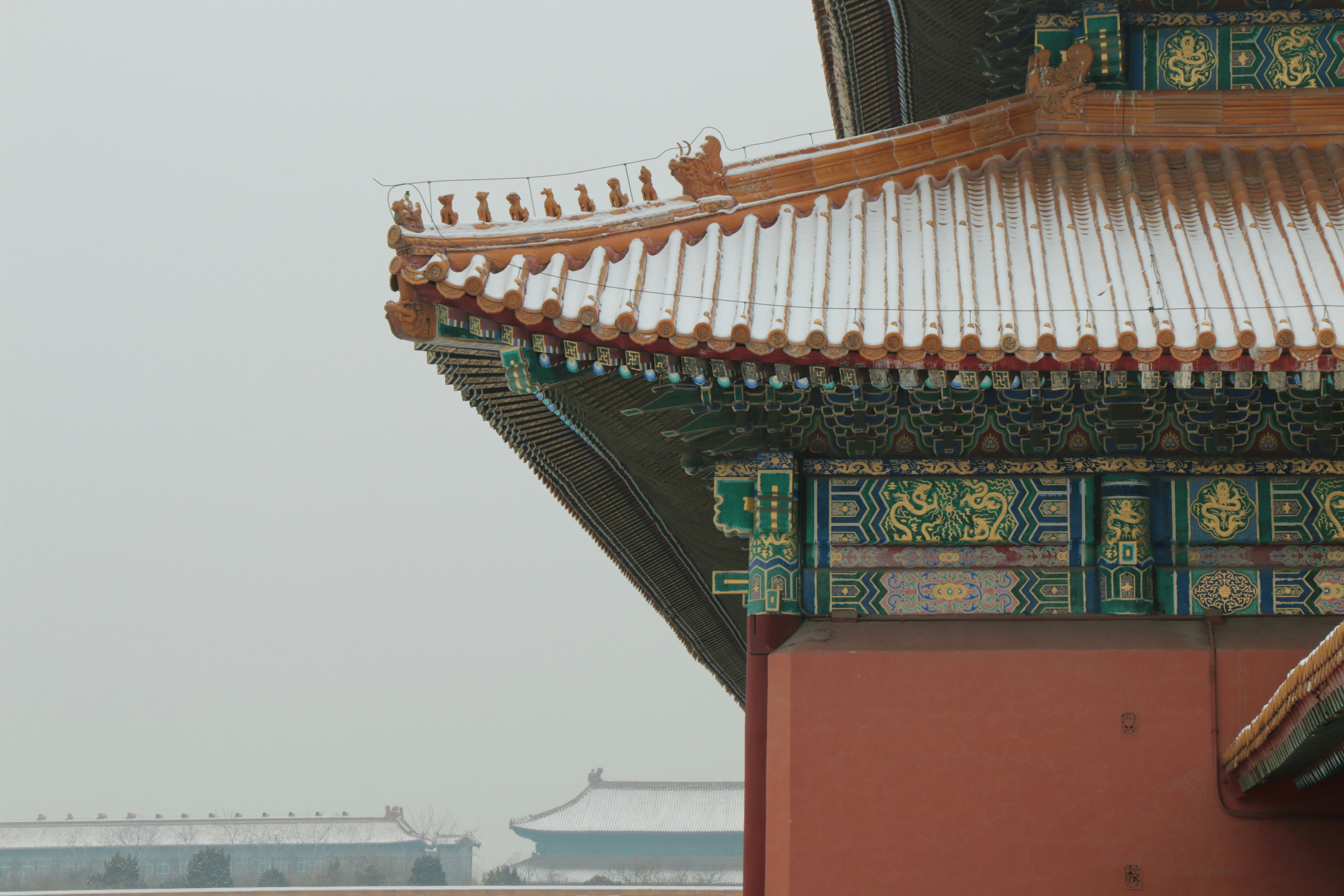 Photo by chenwei17