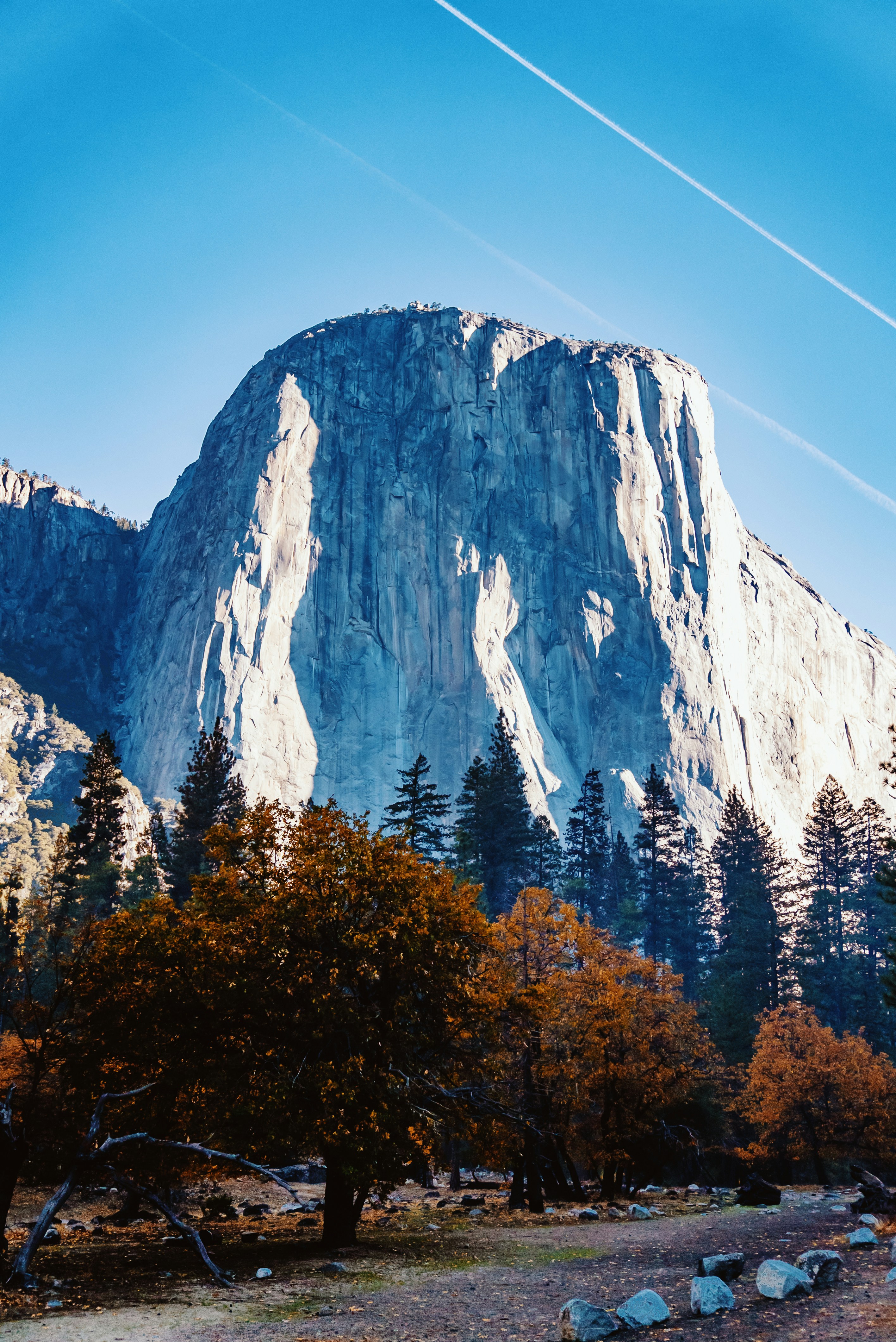 Photo by evanthewise