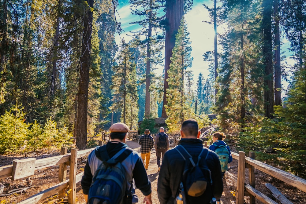 a group of people walking across a bridge in the woods