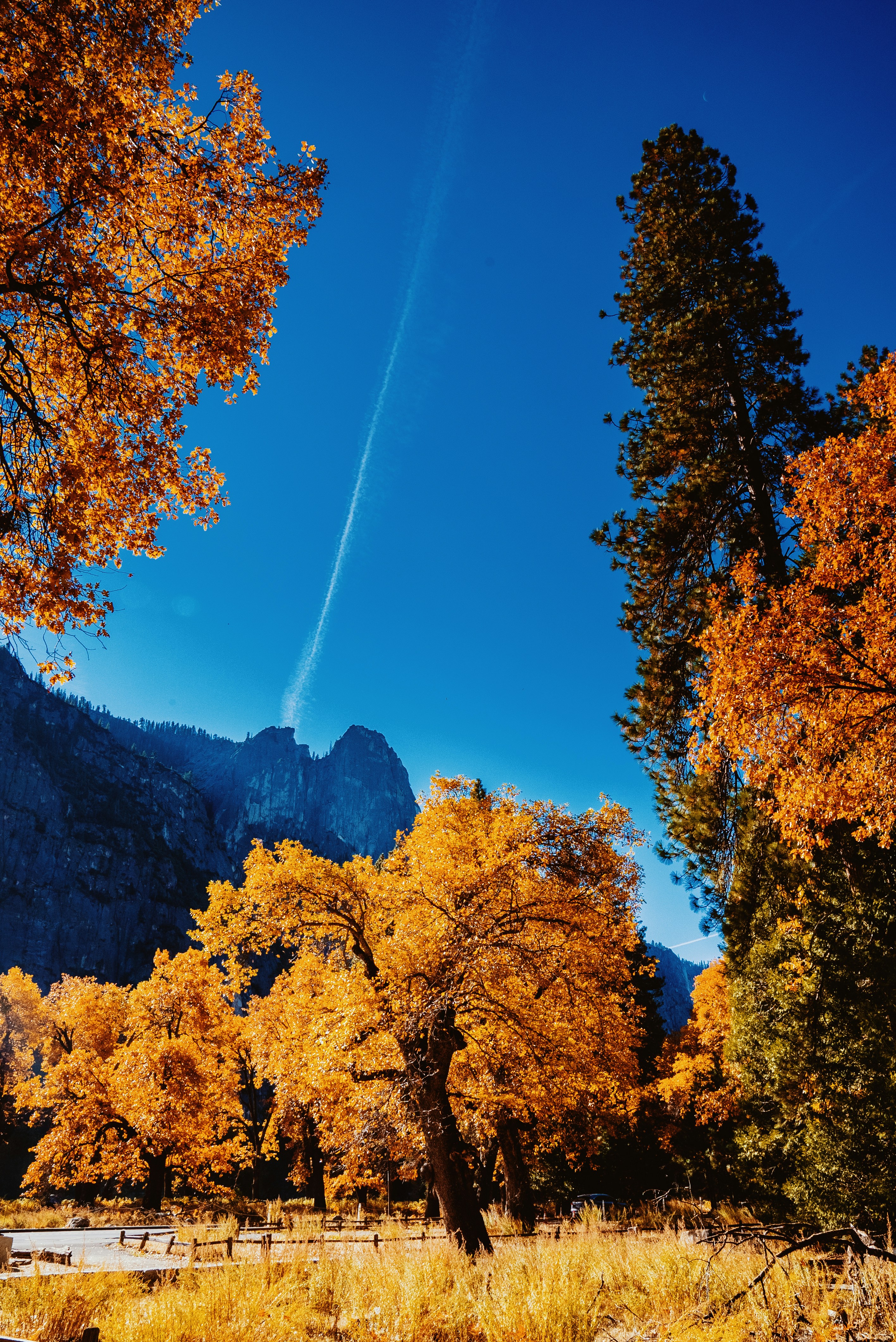 Photo by evanthewise