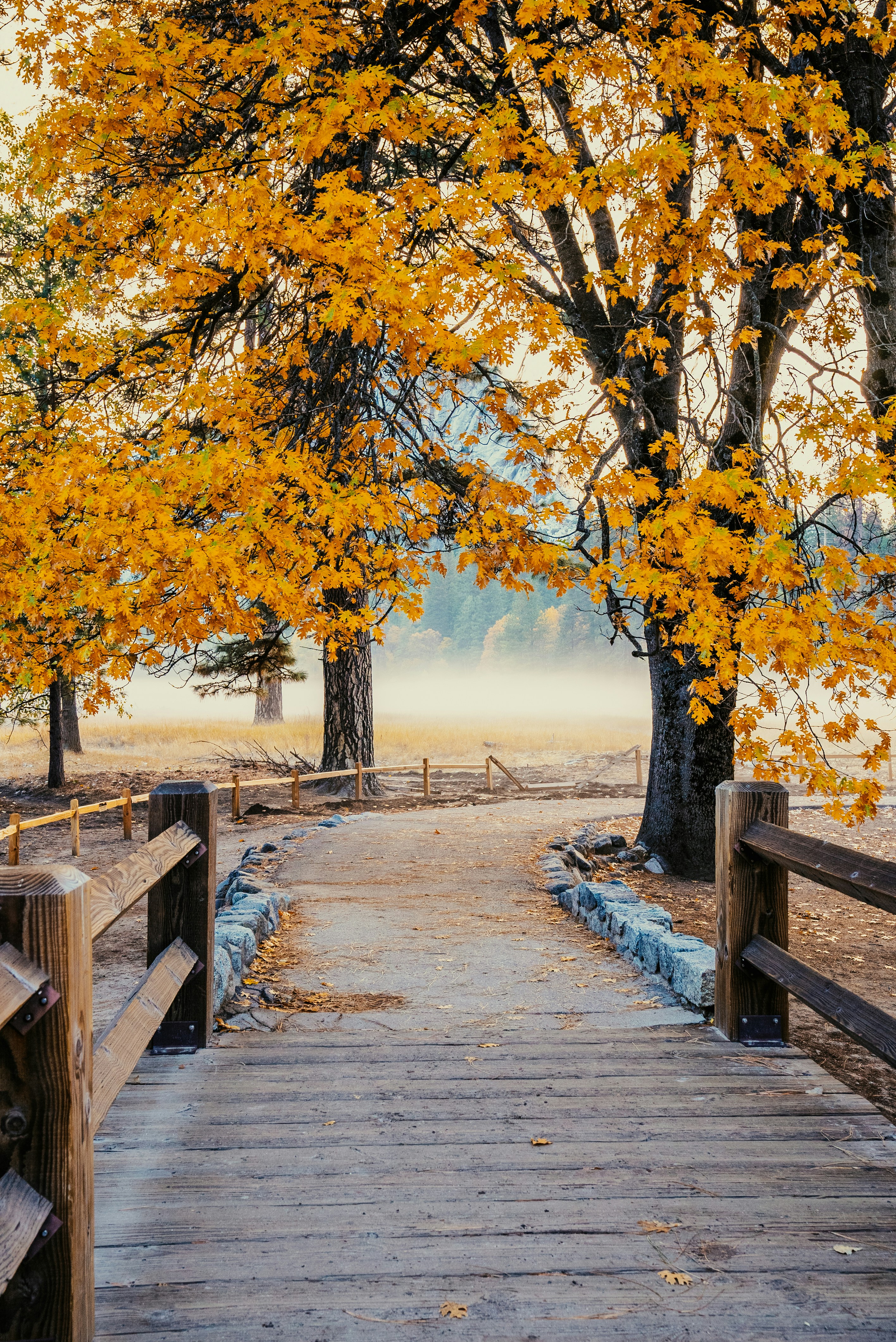 Photo by evanthewise