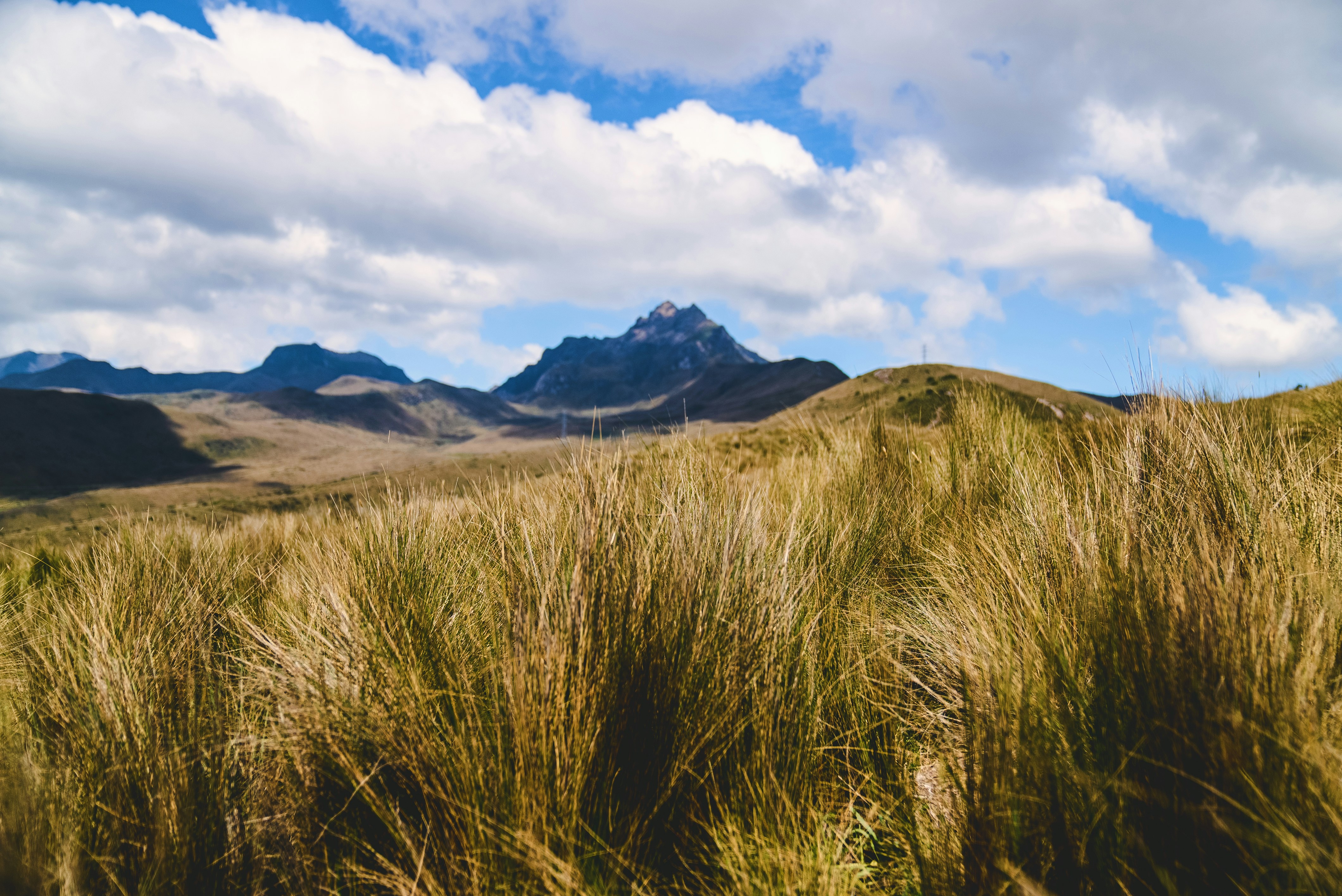 Photo by evanthewise