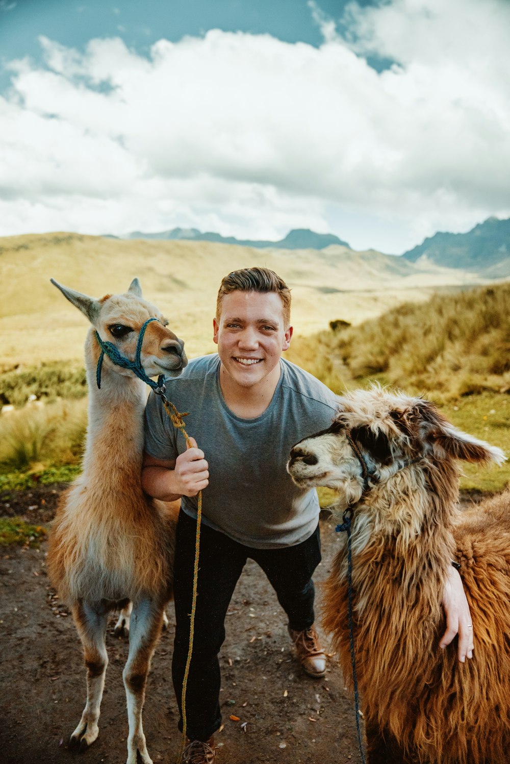 a man standing next to two llamas on a dirt road