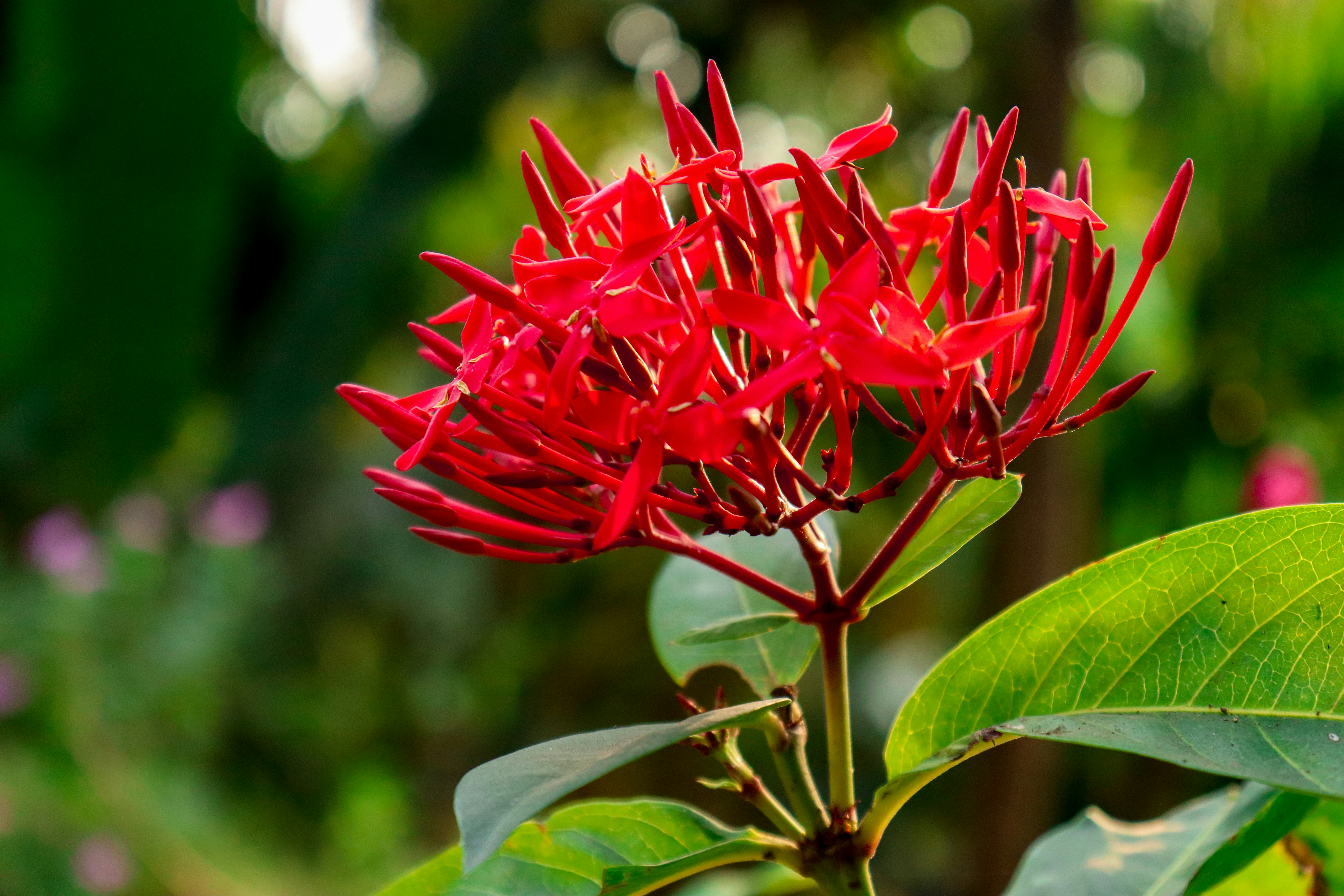 Photo by shanavas360