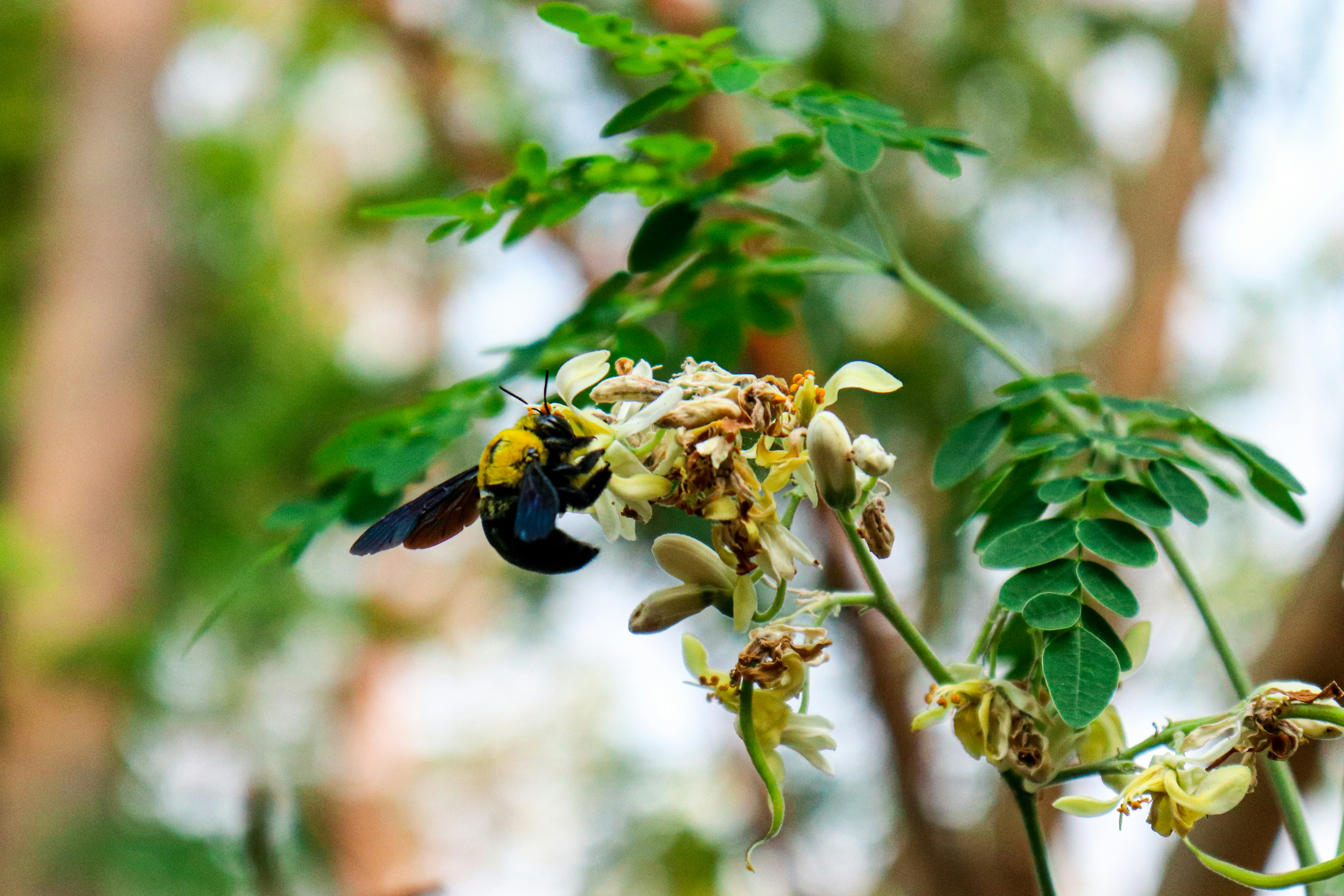 Photo by shanavas360