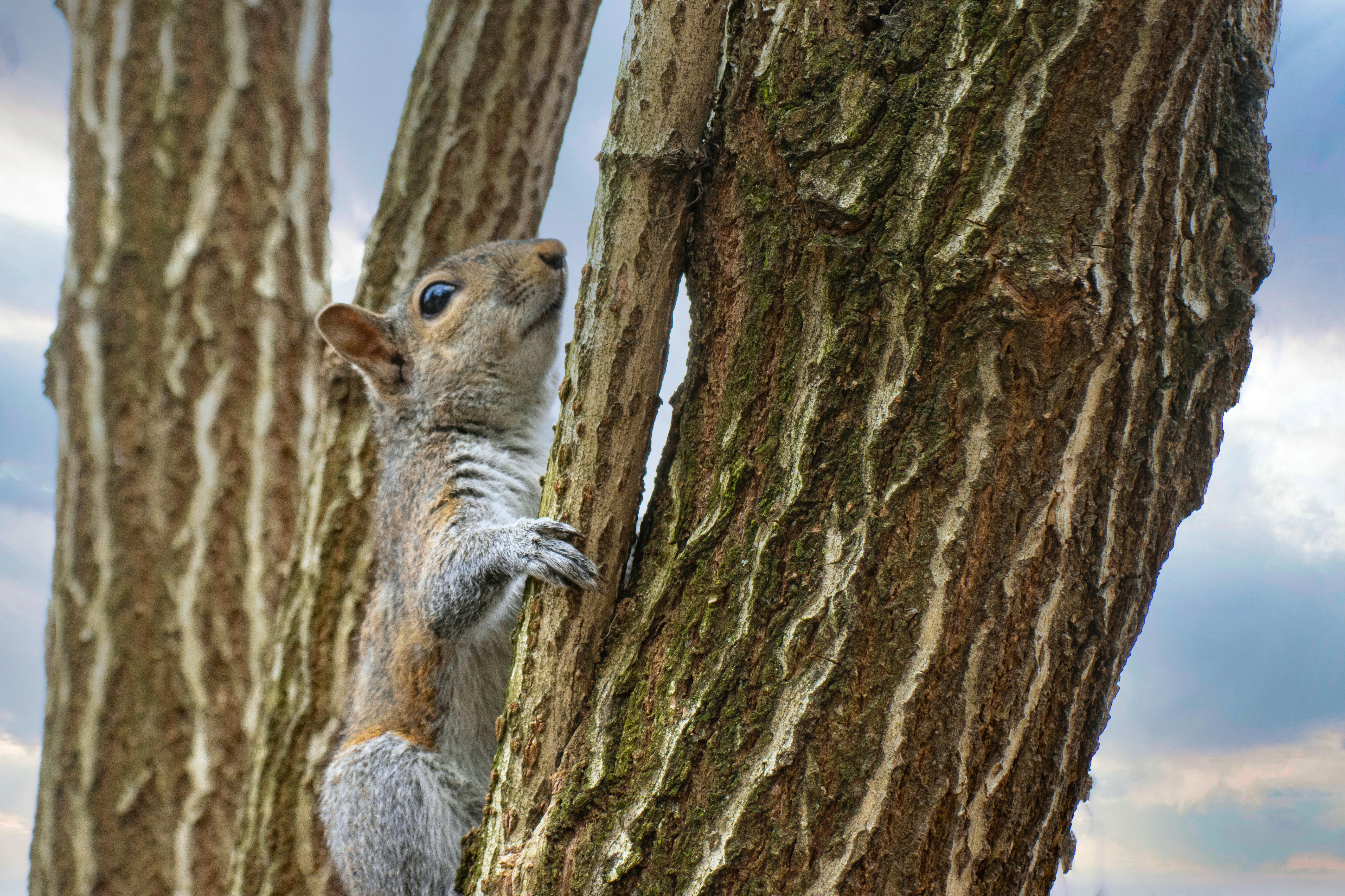 Photo by jddartphotographer