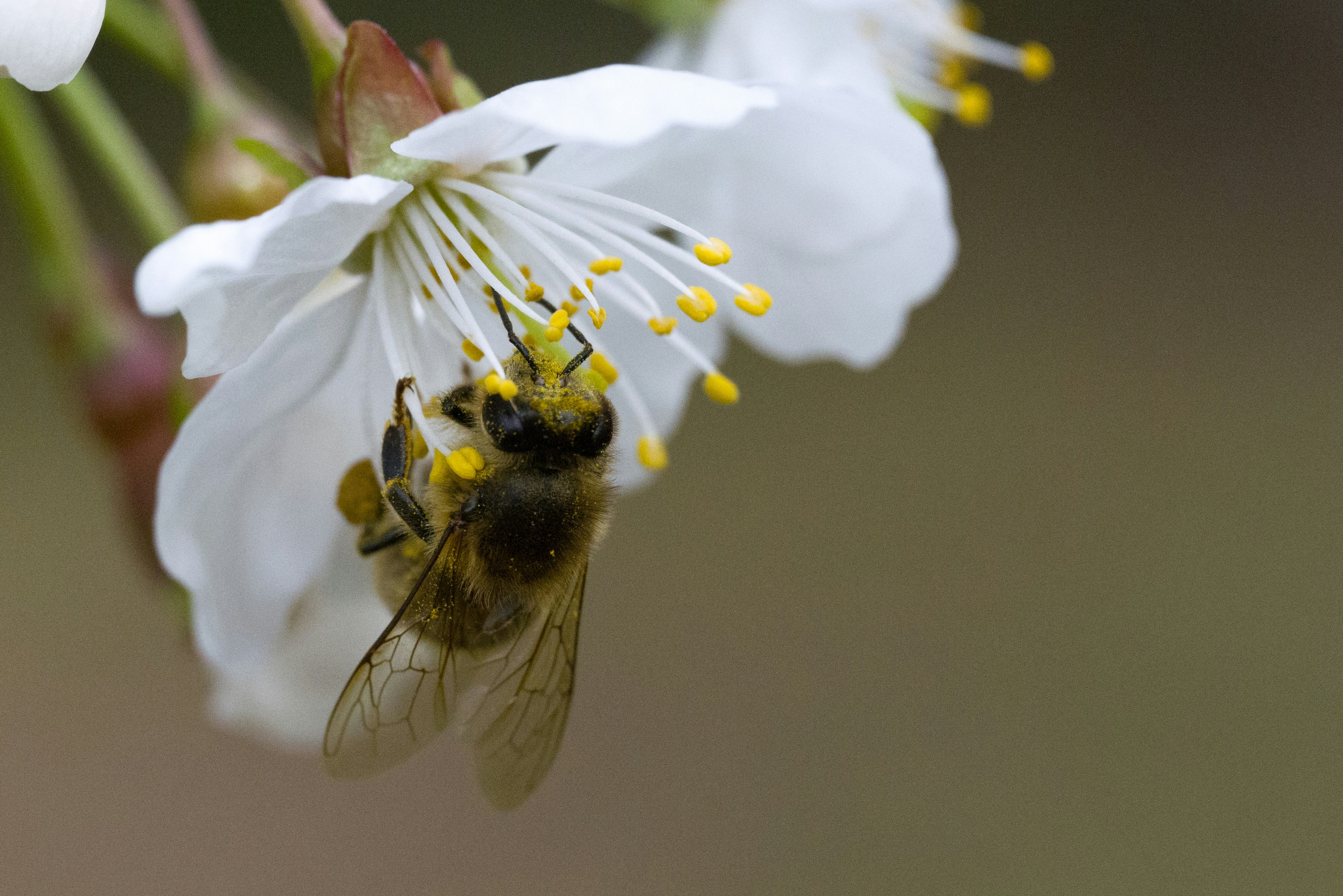 Photo by georgeiermann