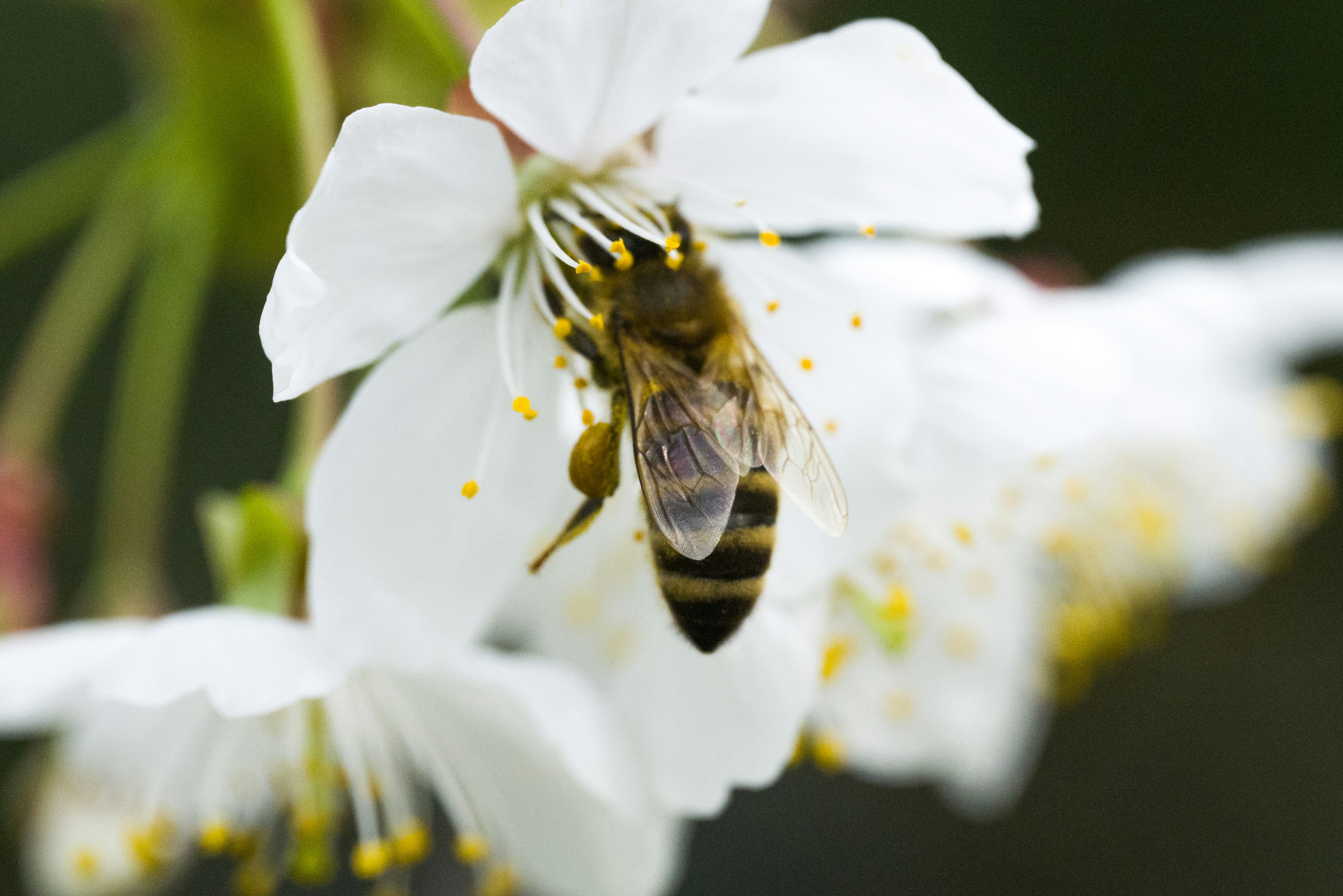 Photo by georgeiermann