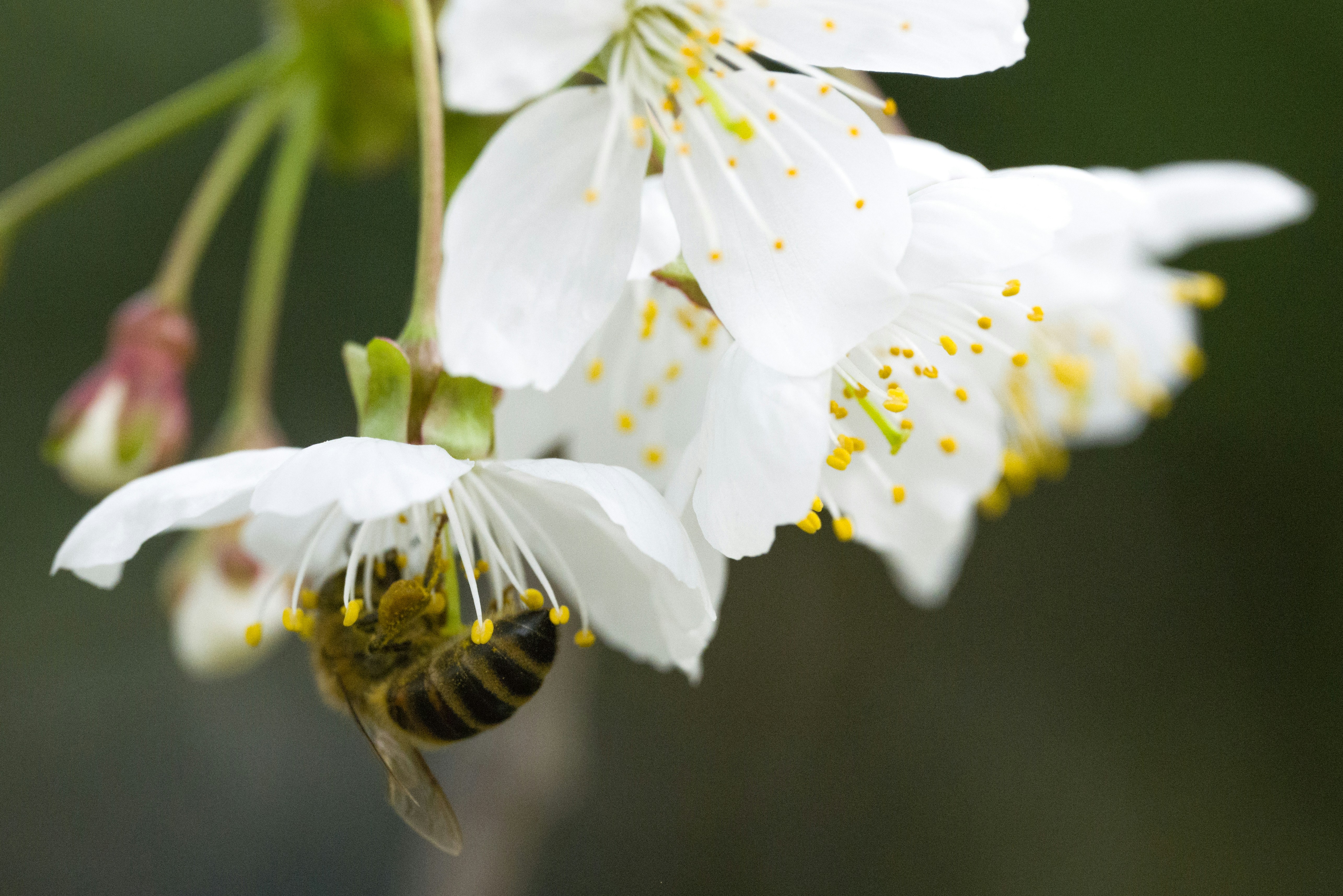 Photo by georgeiermann