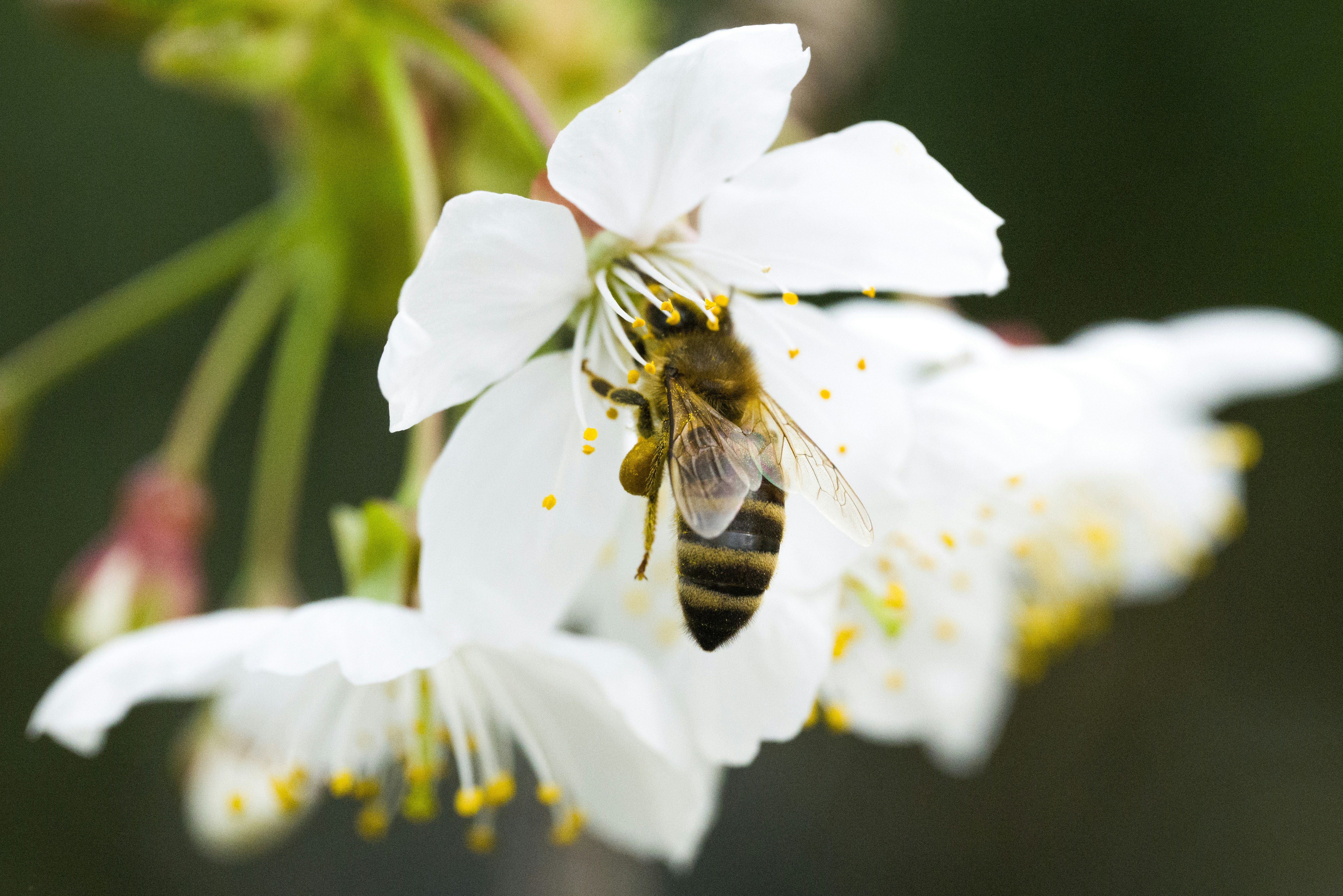 Photo by georgeiermann