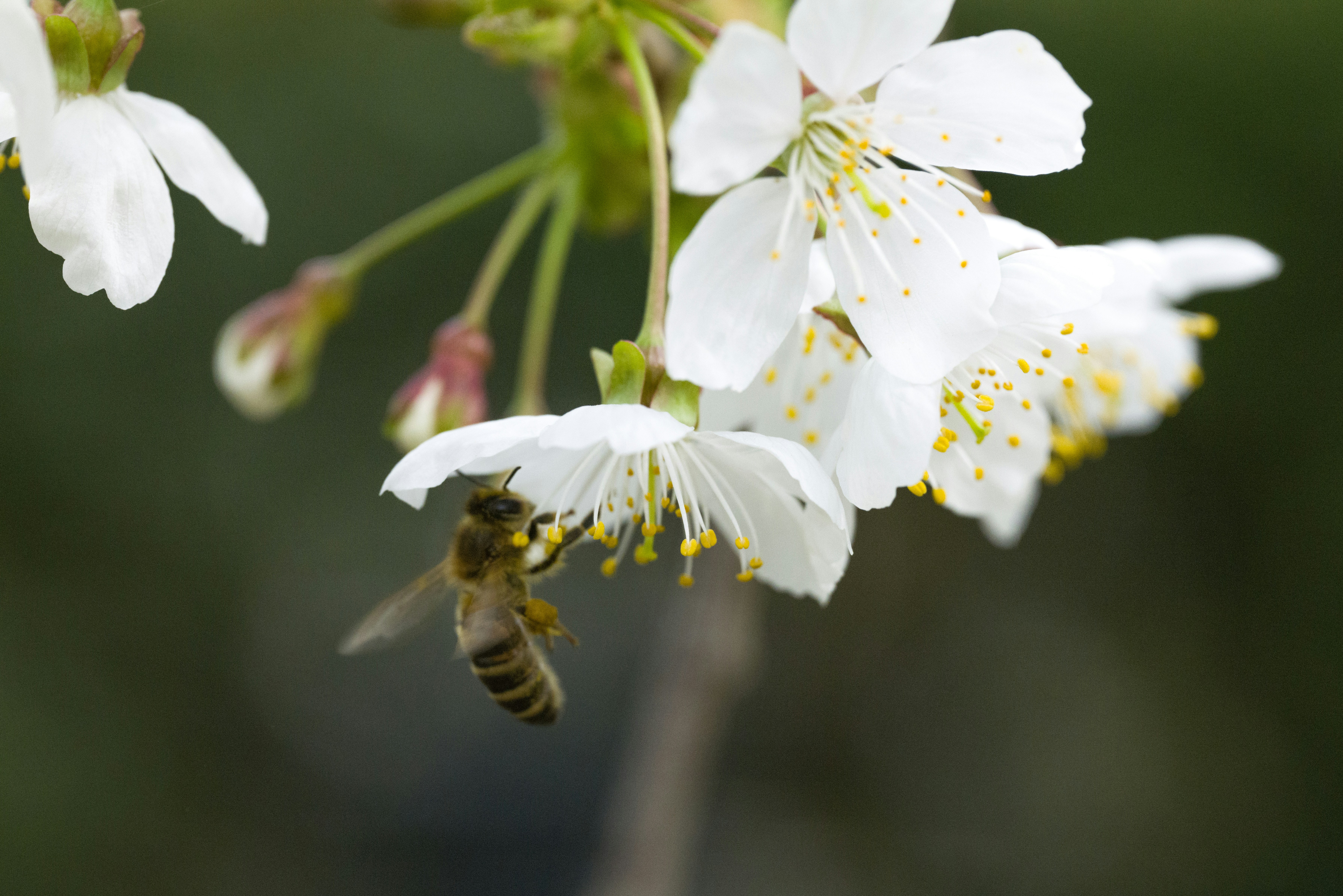 Photo by georgeiermann