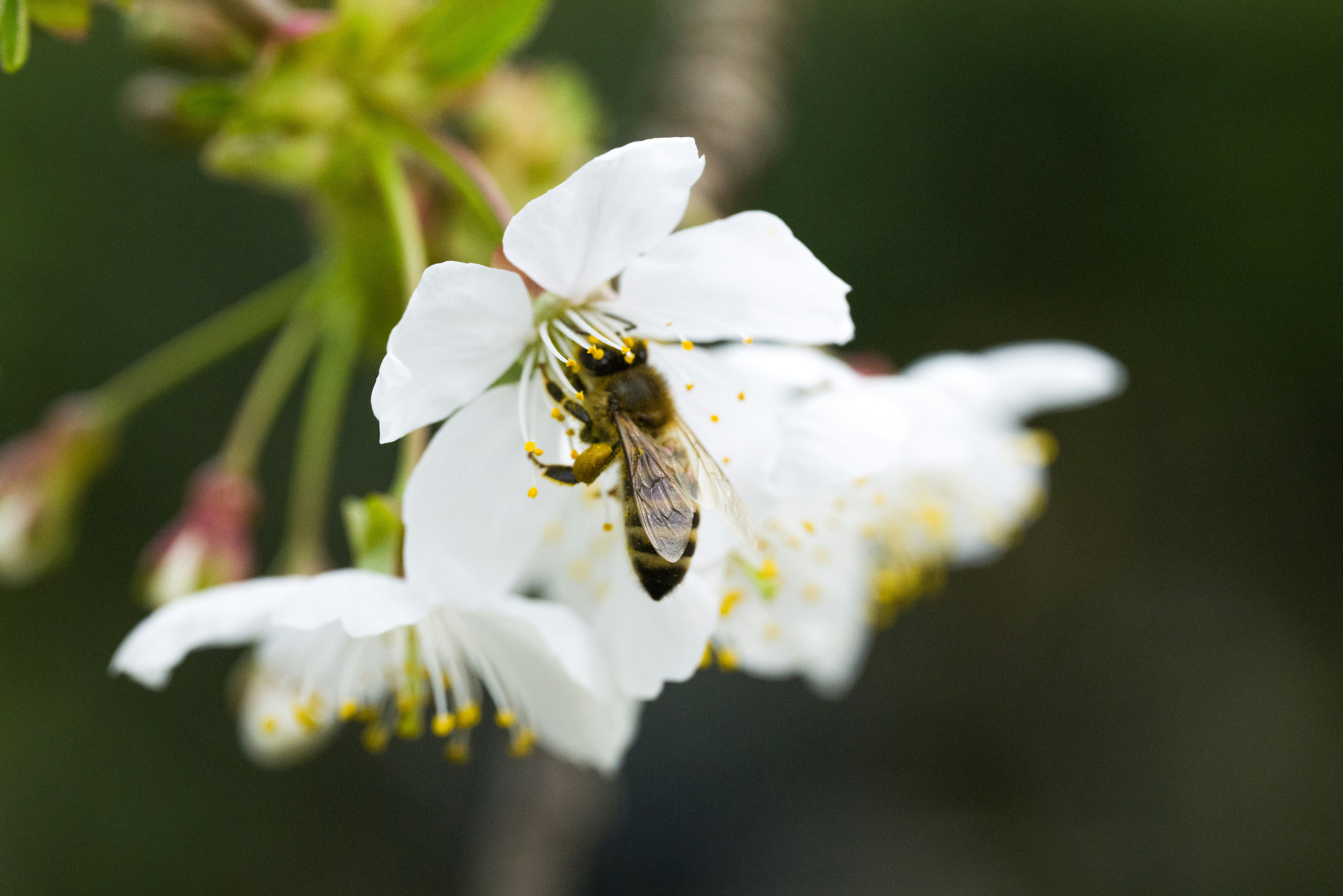 Photo by georgeiermann