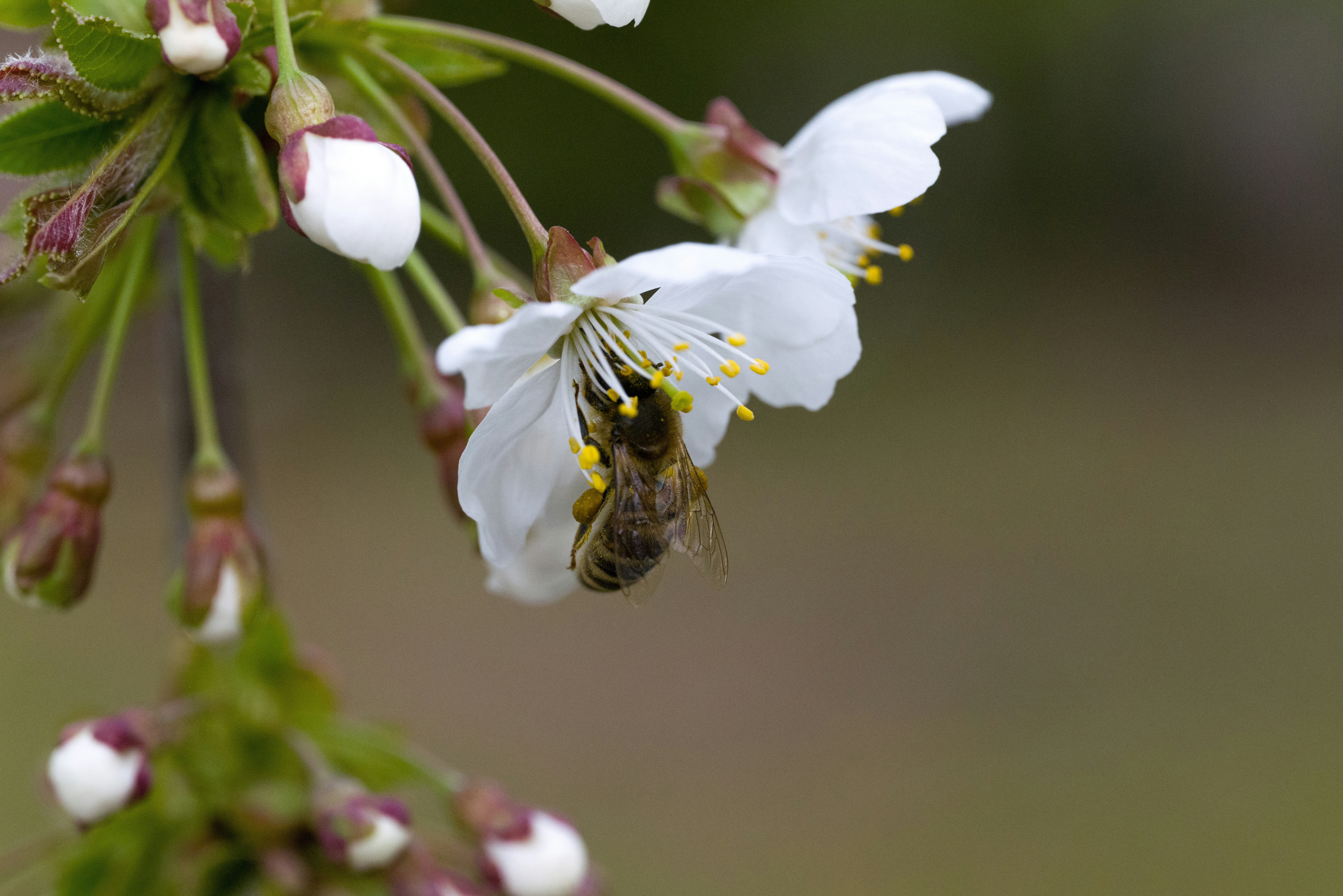 Photo by georgeiermann