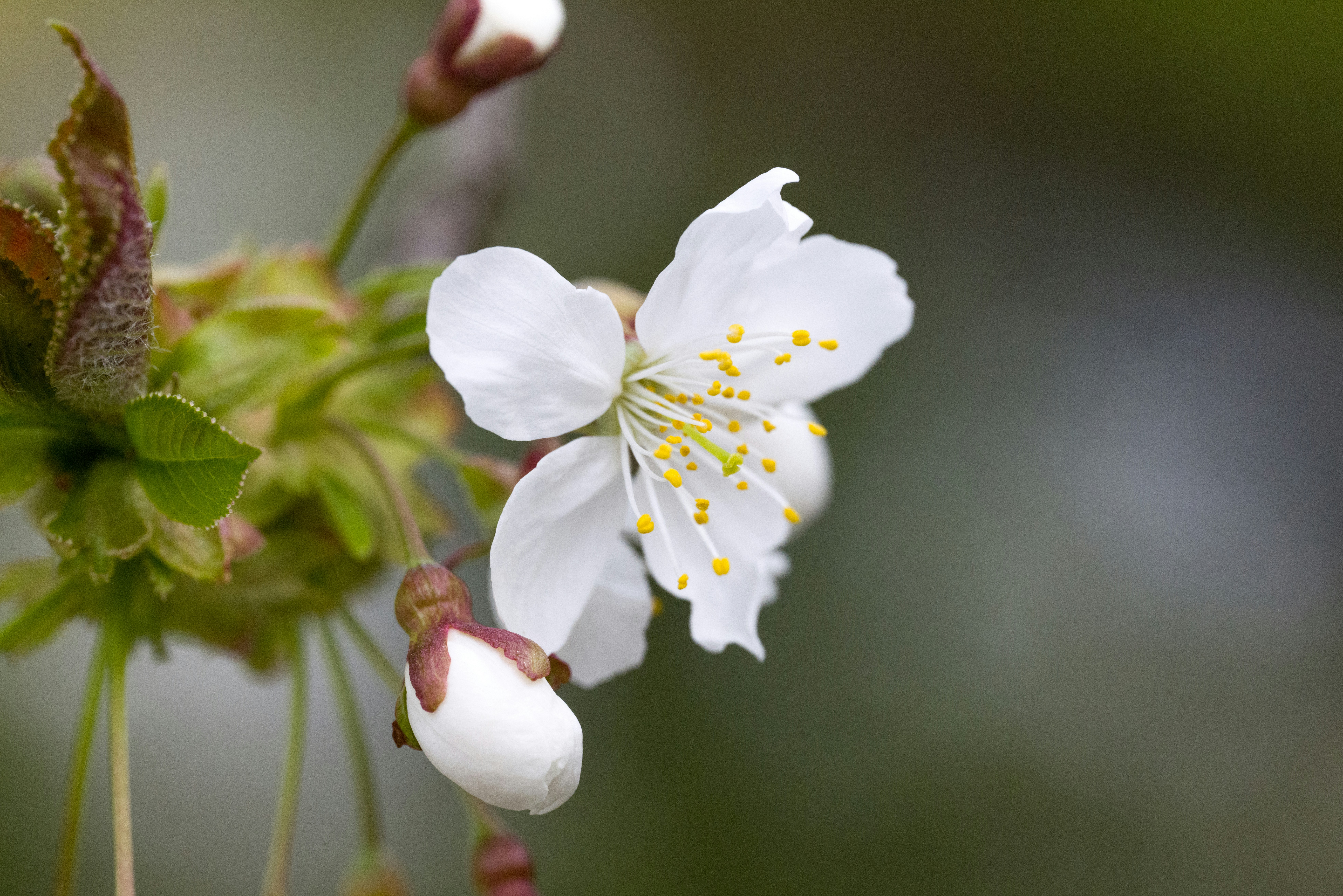 Photo by georgeiermann