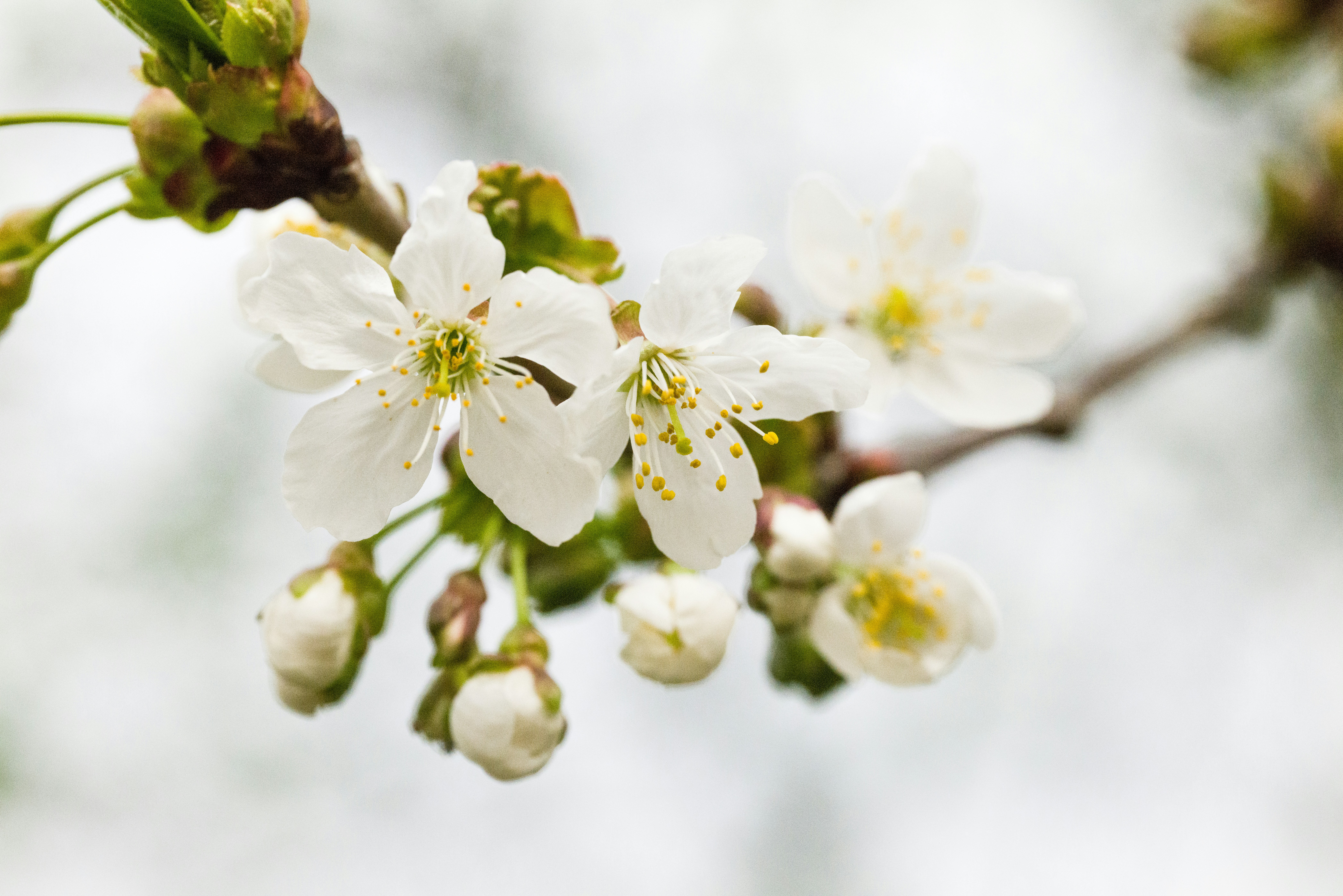 Photo by georgeiermann