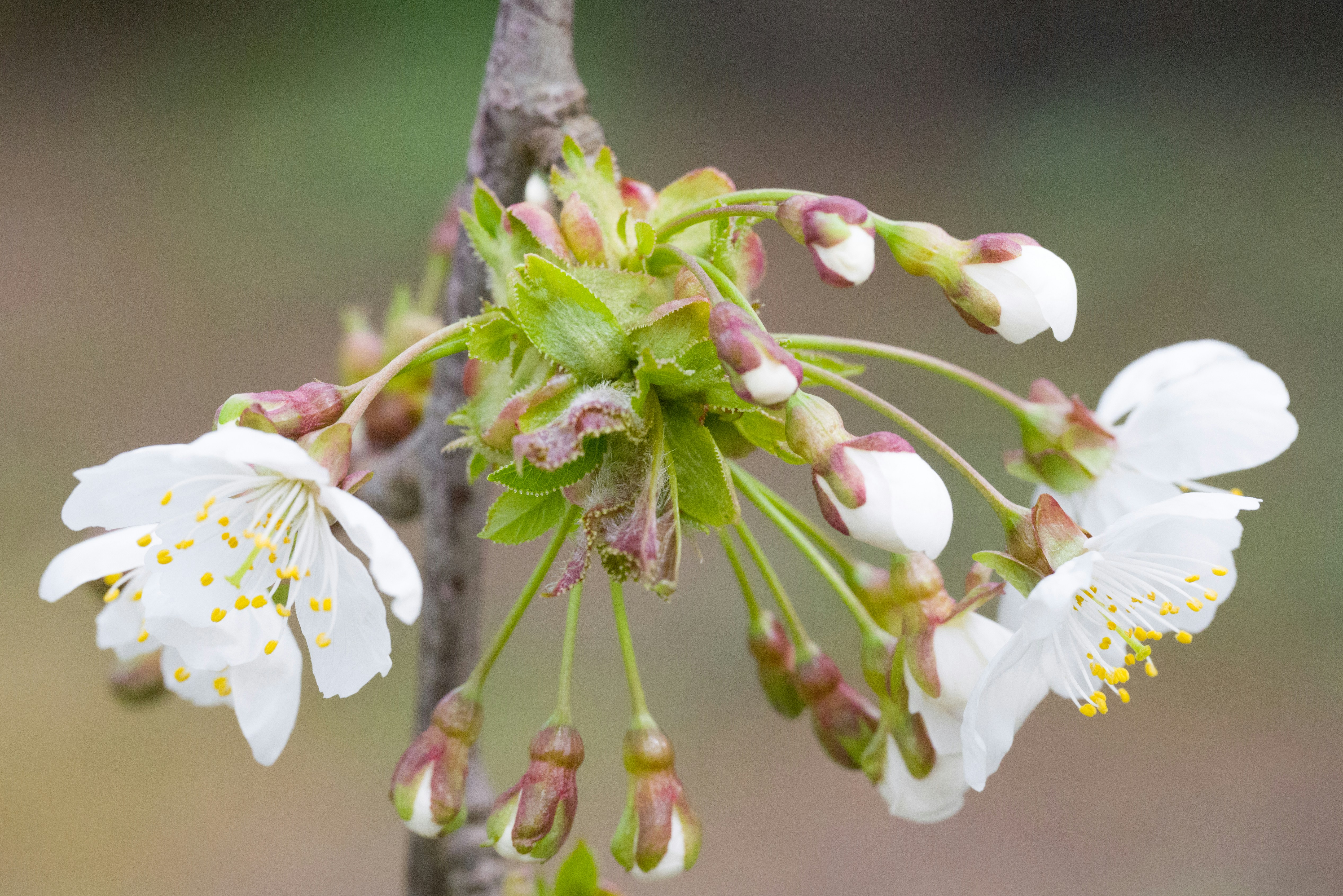 Photo by georgeiermann