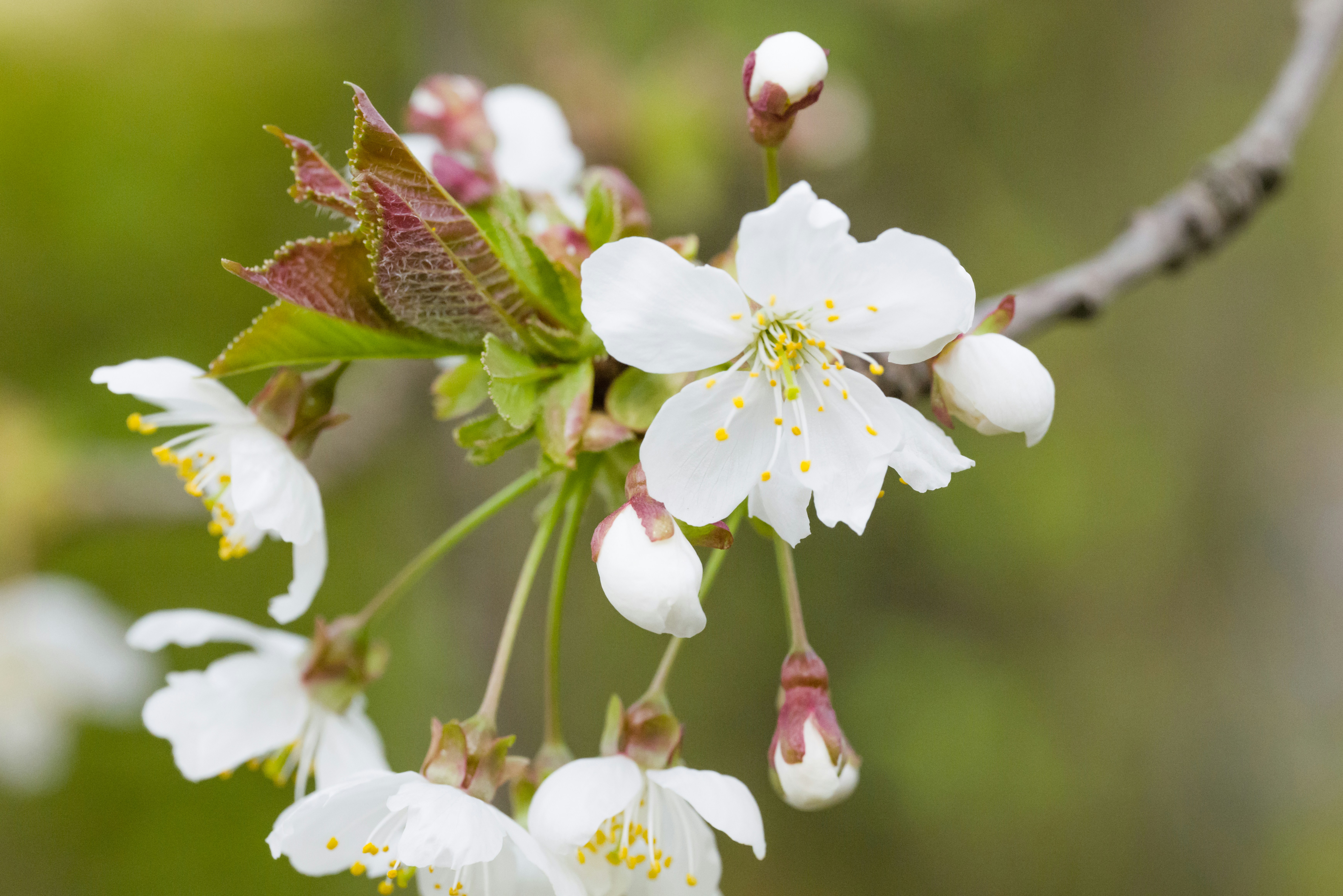 Photo by georgeiermann