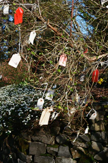 a bunch of tags hanging from a tree
