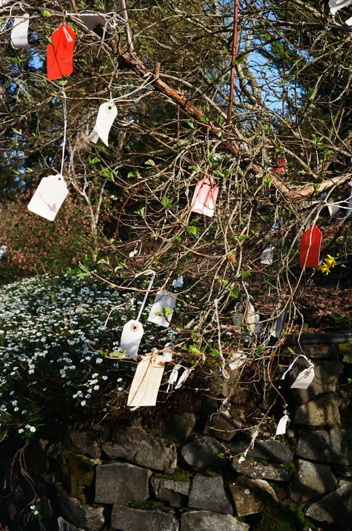 The Wishing Tree