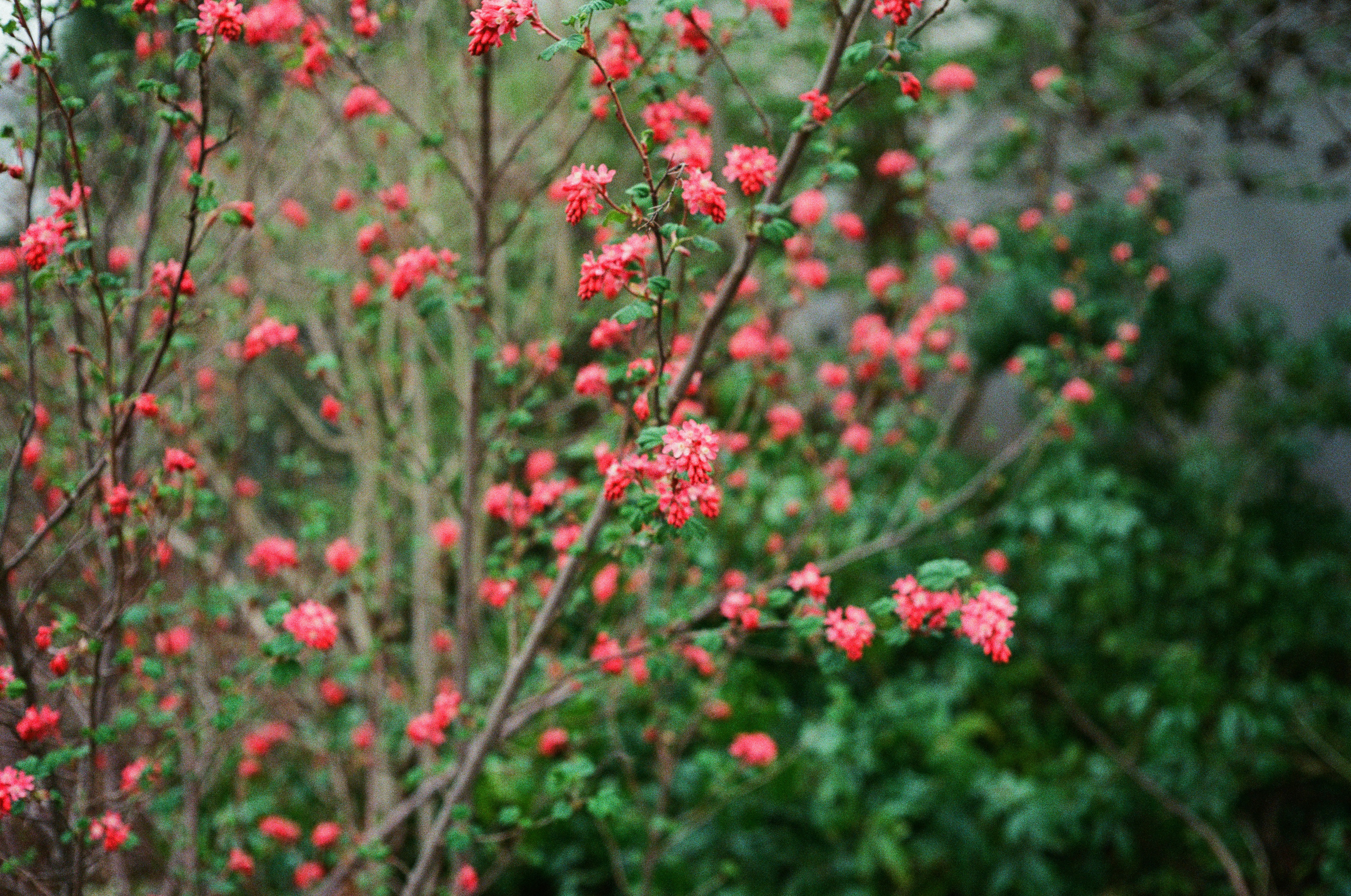 Photo by quietspaces