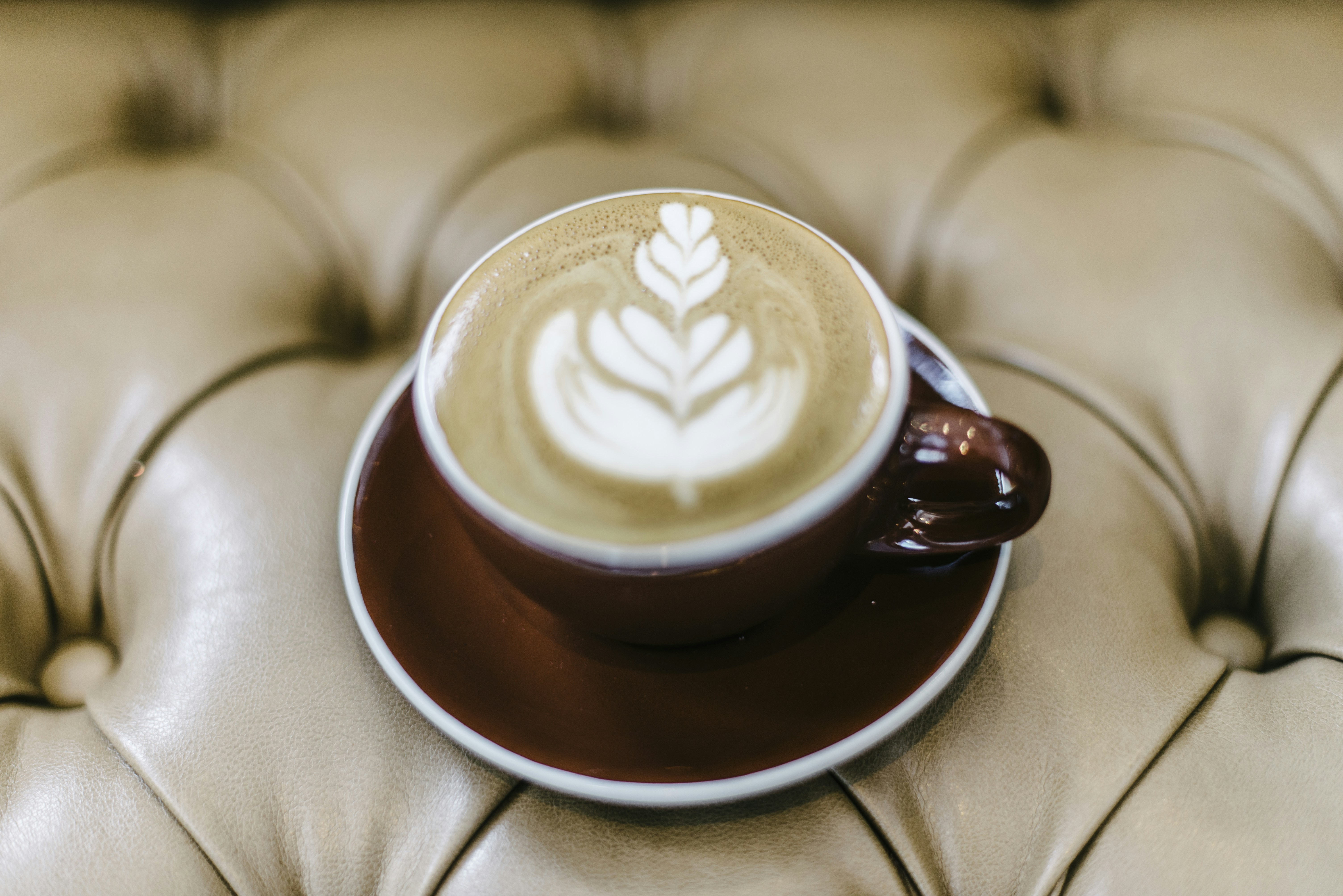 Photo by mcoopercreative