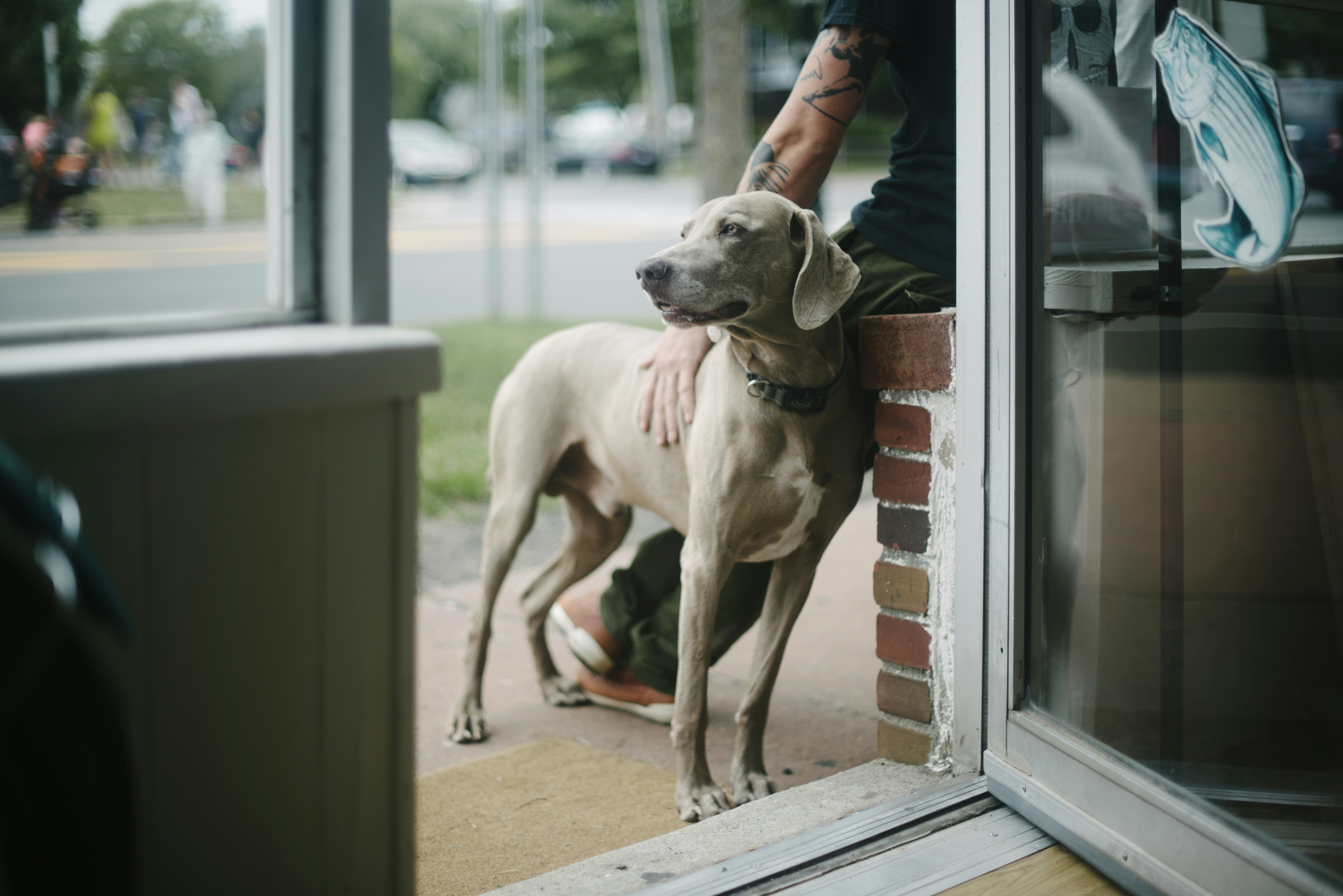 Photo by mcoopercreative