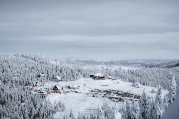 a ski resort surrounded by snow covered trees