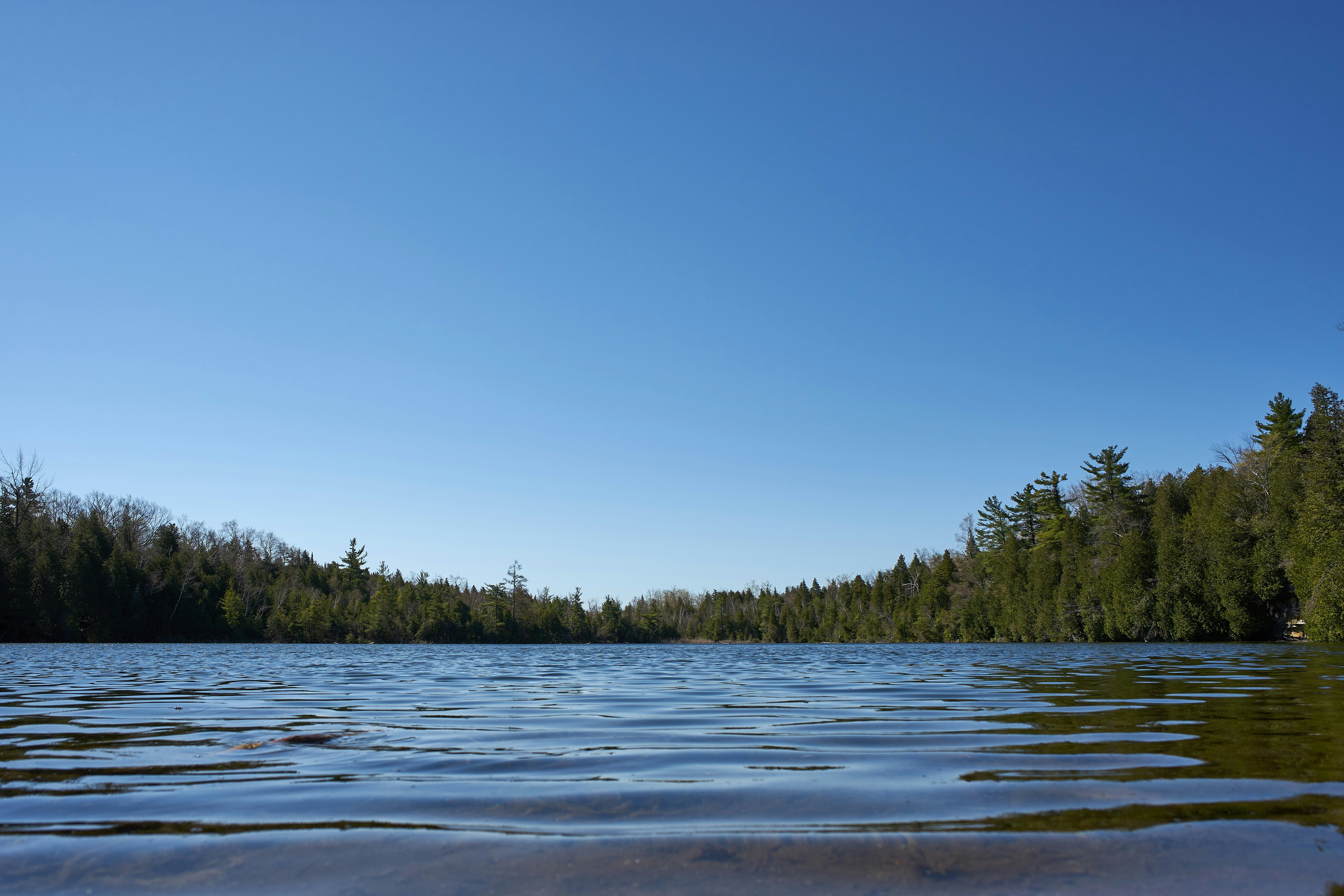 Photo by wolfgang_hasselmann