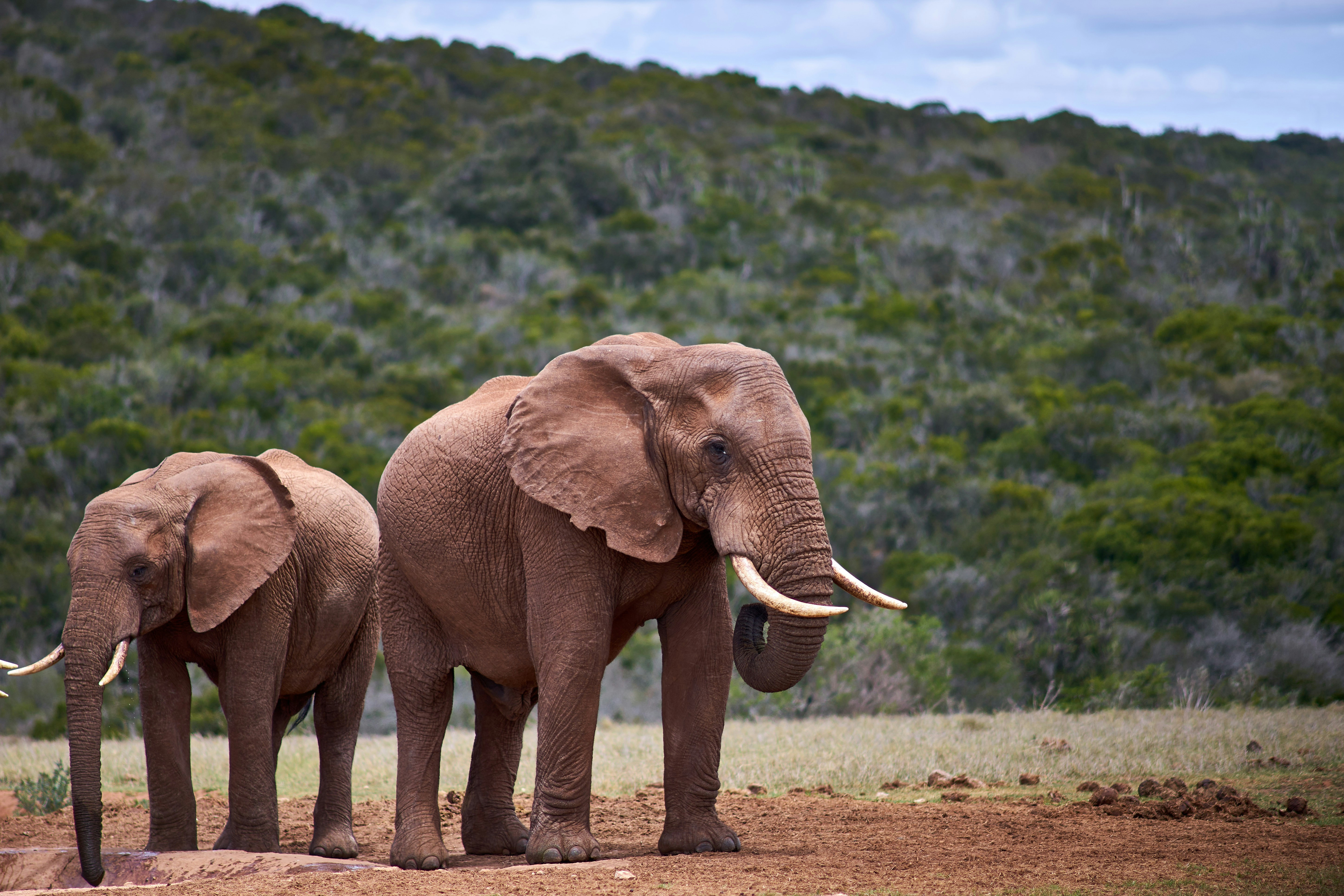 Photo by wolfgang_hasselmann