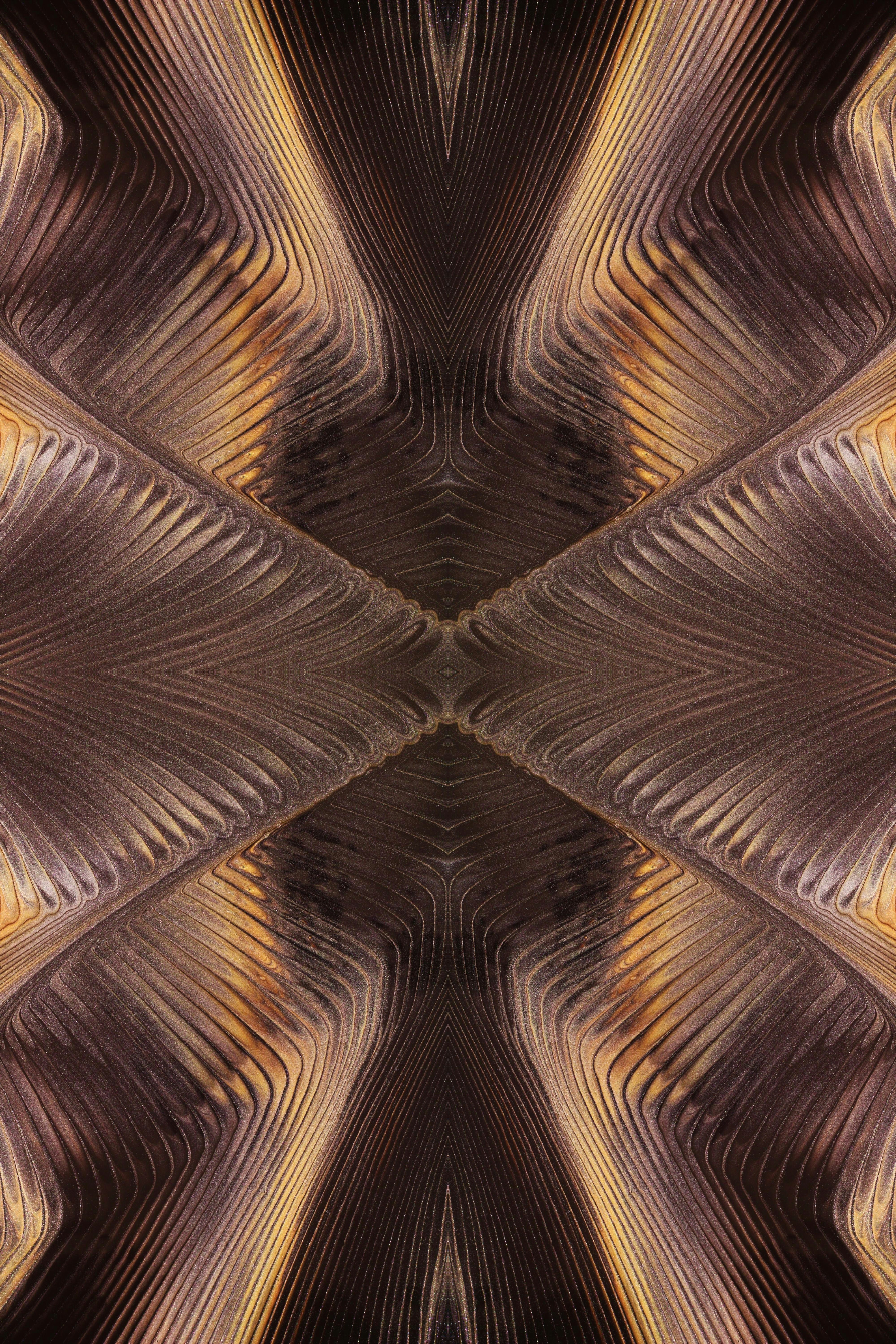 Photo by susan_wilkinson