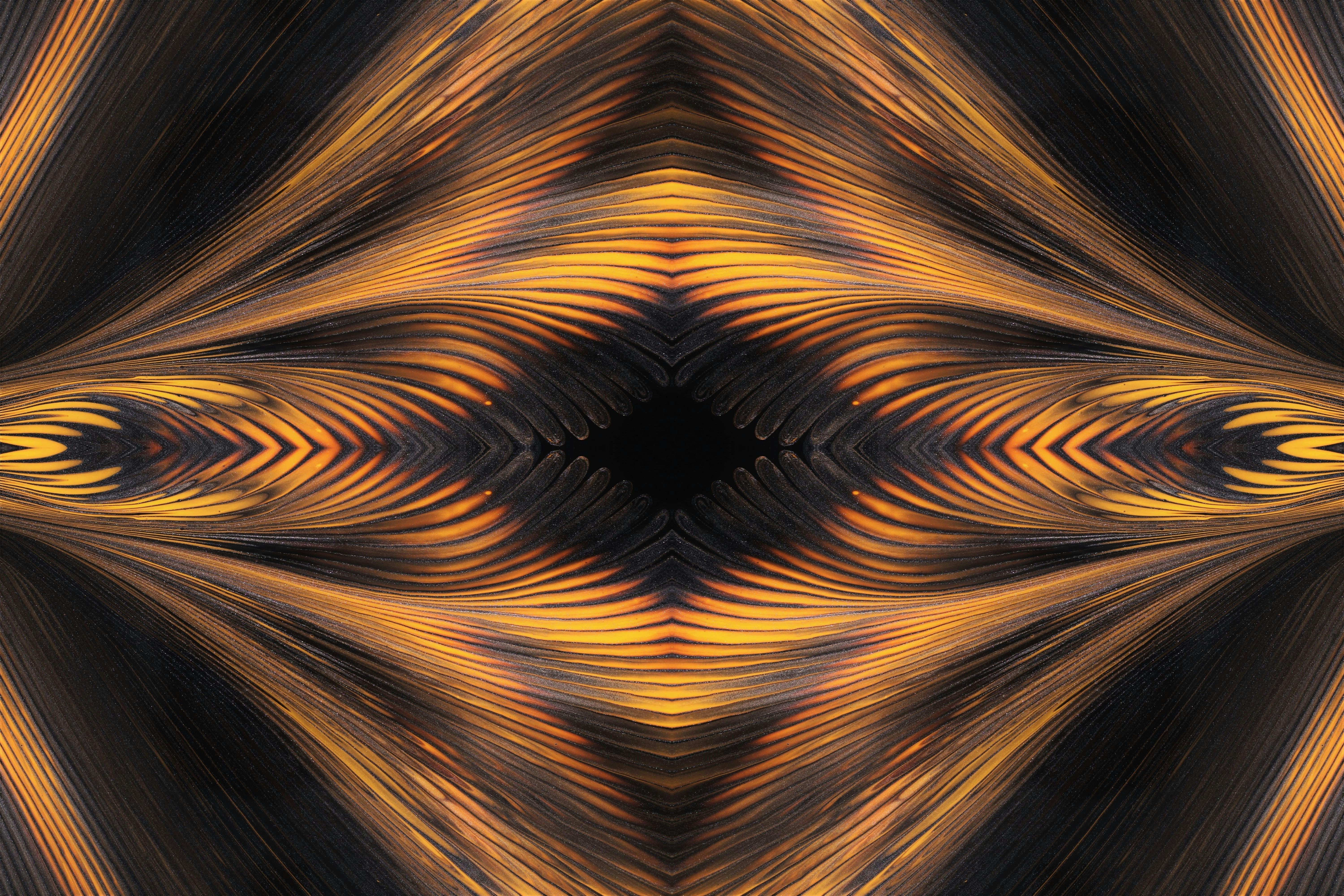 Photo by susan_wilkinson