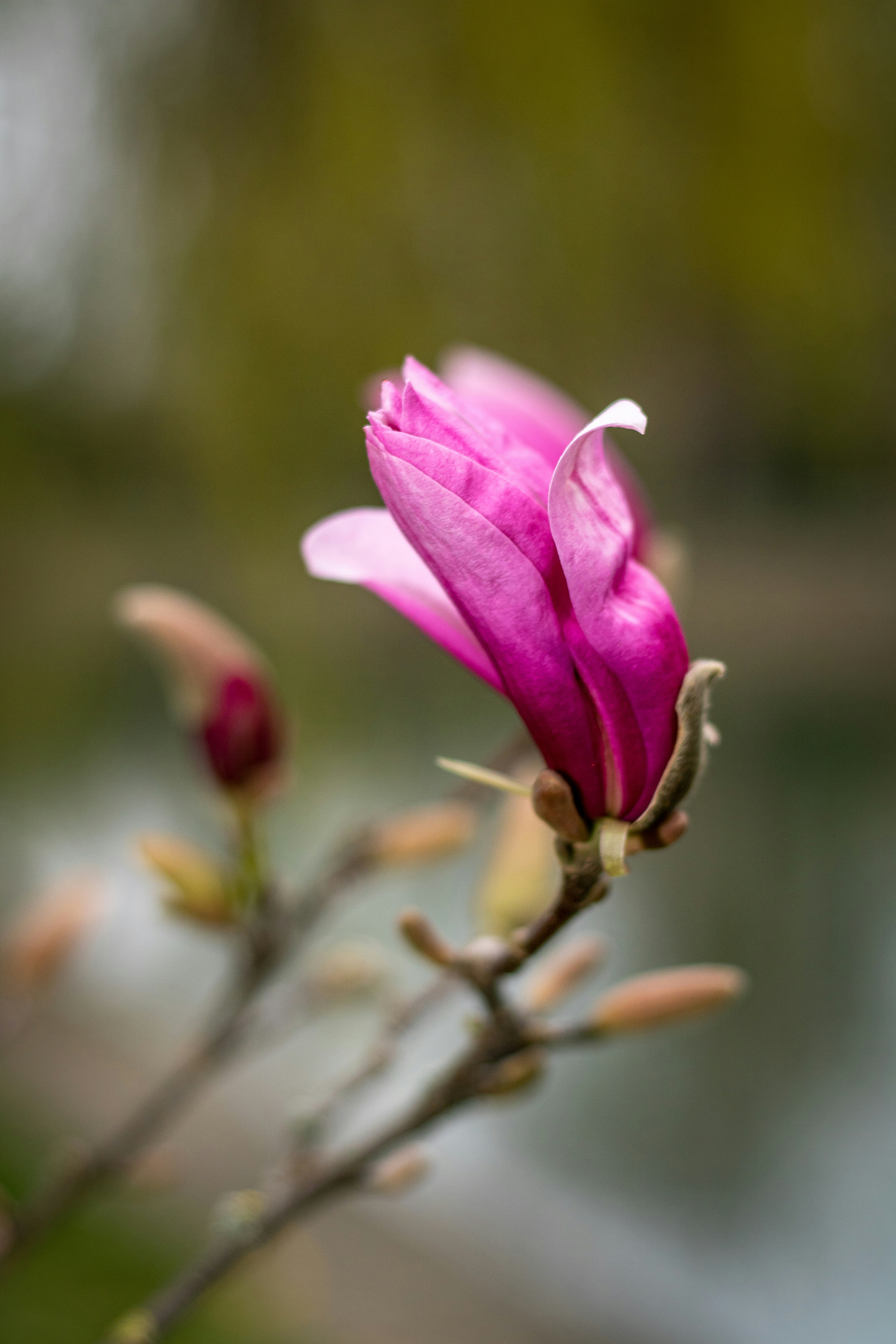 Photo by ovidiugruescu