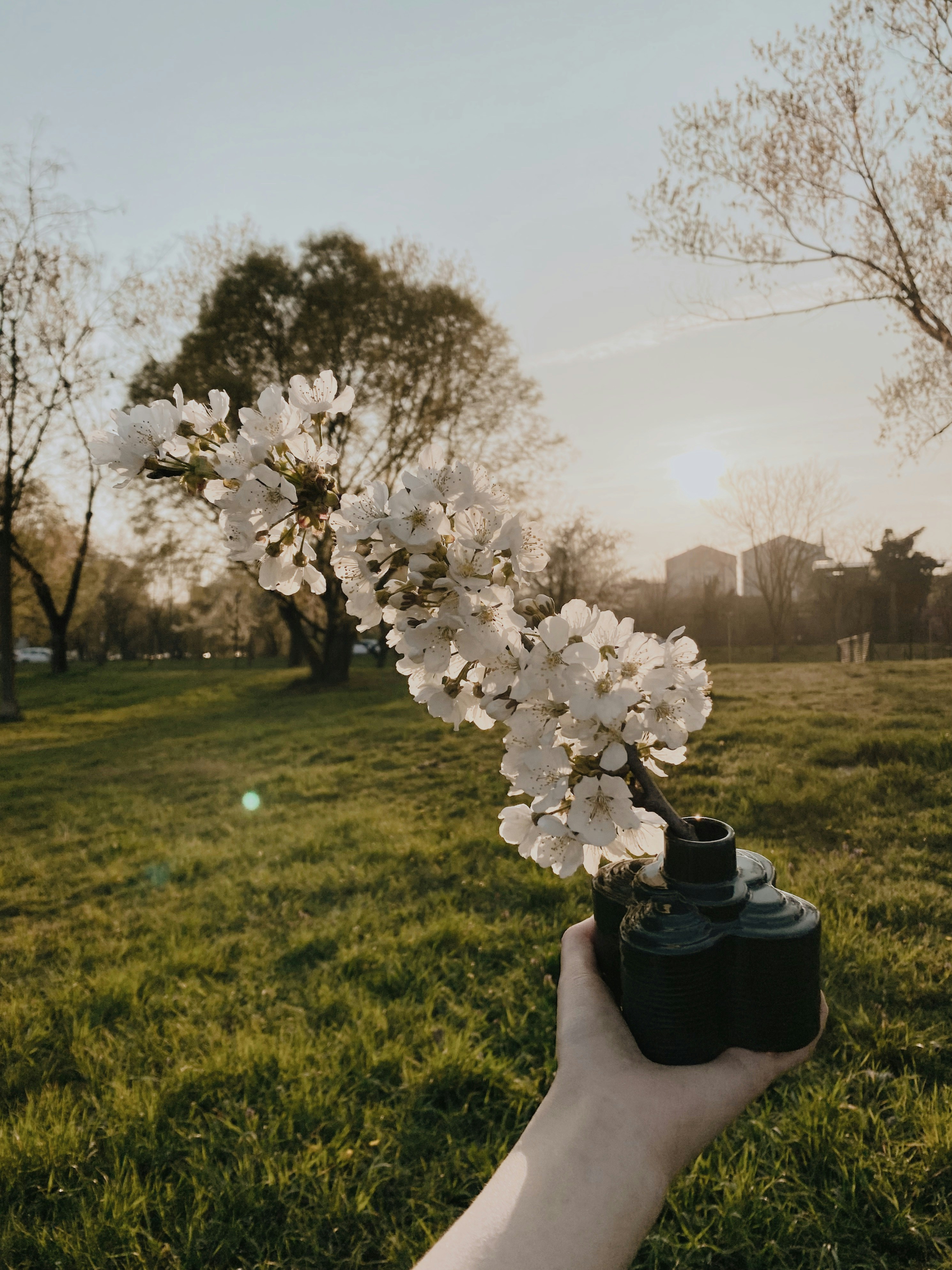 uma pessoa segurando uma câmera em um campo