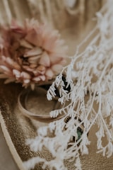 A close-up of delicate pink flowers and dried white foliage arranged artfully on a textured golden surface. The petals of the flower are soft and layered, providing a gentle contrast to the intricate, feathery details of the dried plant. The golden background adds warmth and a luxurious impression to the composition.