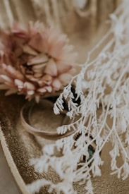 A close-up of delicate pink flowers and dried white foliage arranged artfully on a textured golden surface. The petals of the flower are soft and layered, providing a gentle contrast to the intricate, feathery details of the dried plant. The golden background adds warmth and a luxurious impression to the composition.