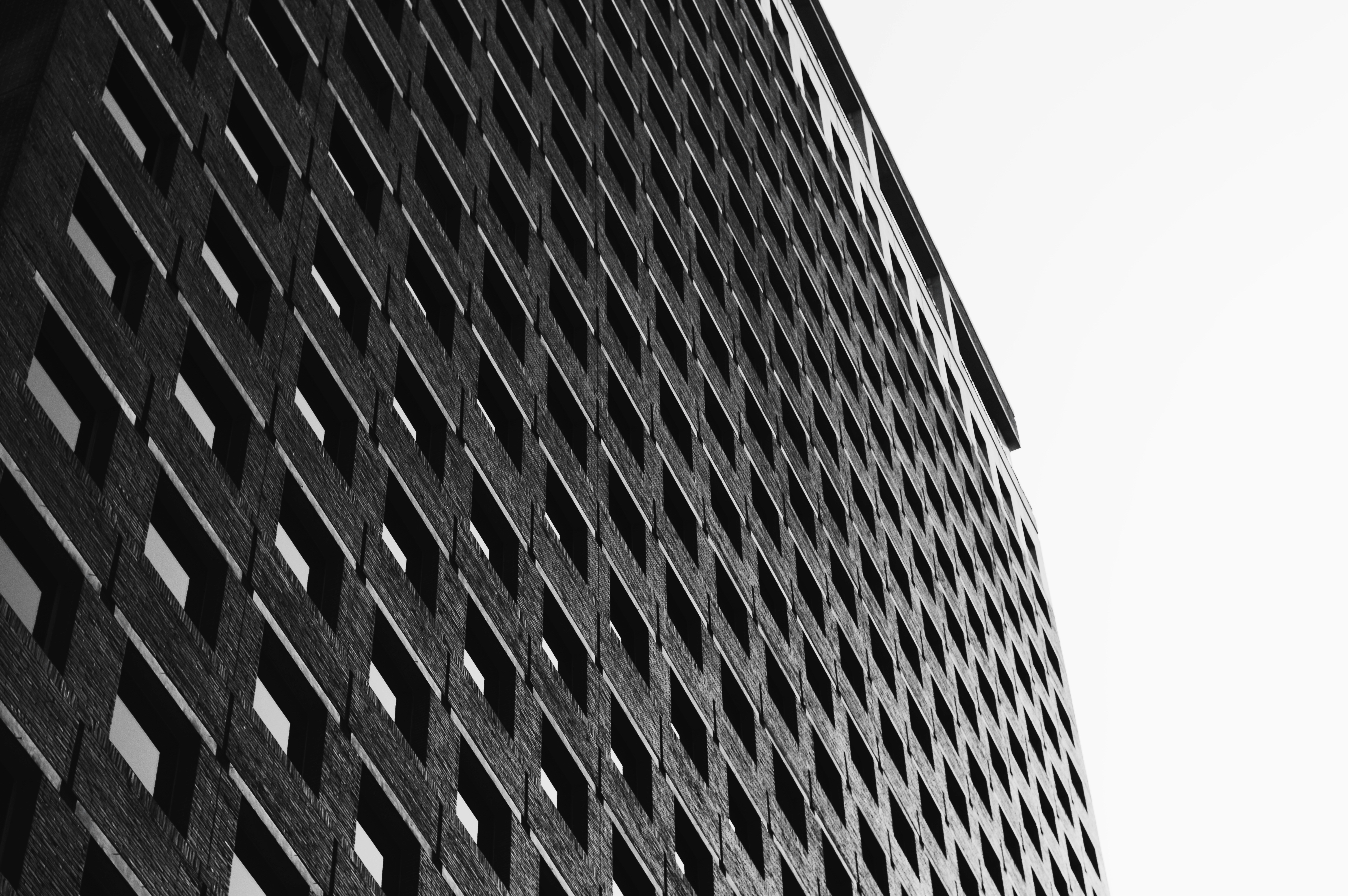 Photo by gabrielalmanzar