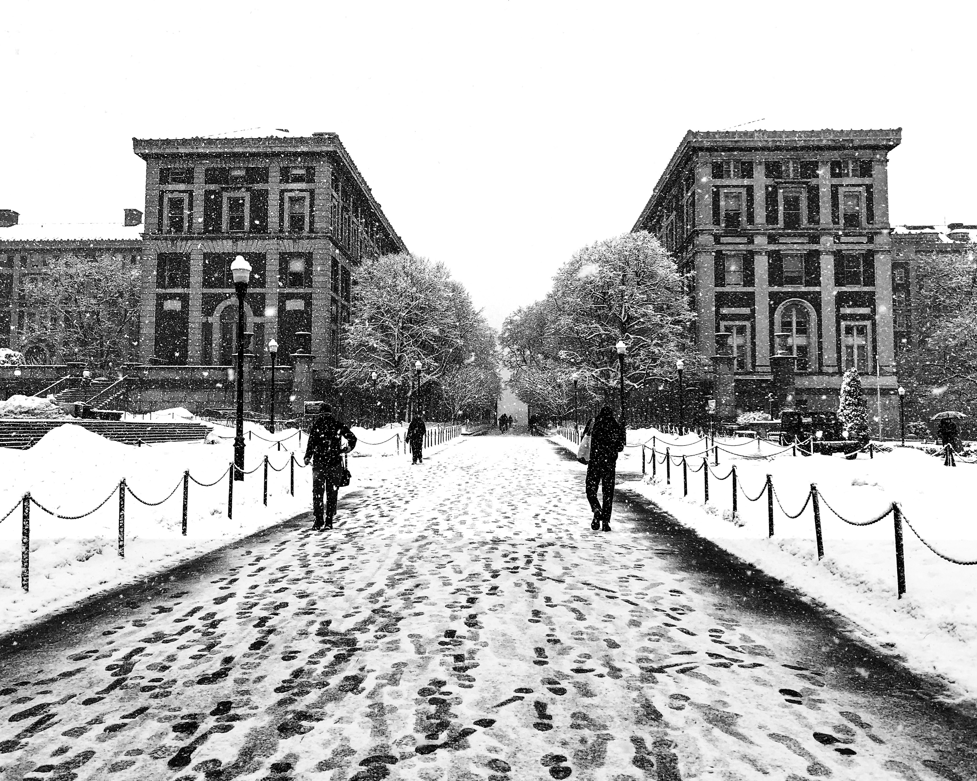 Fresh Start: Reflection on First-Semester at Columbia