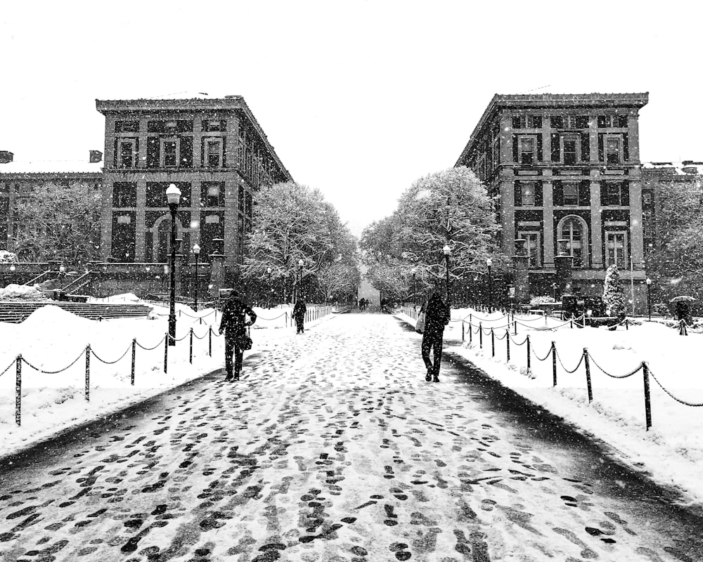 a couple of people that are walking in the snow