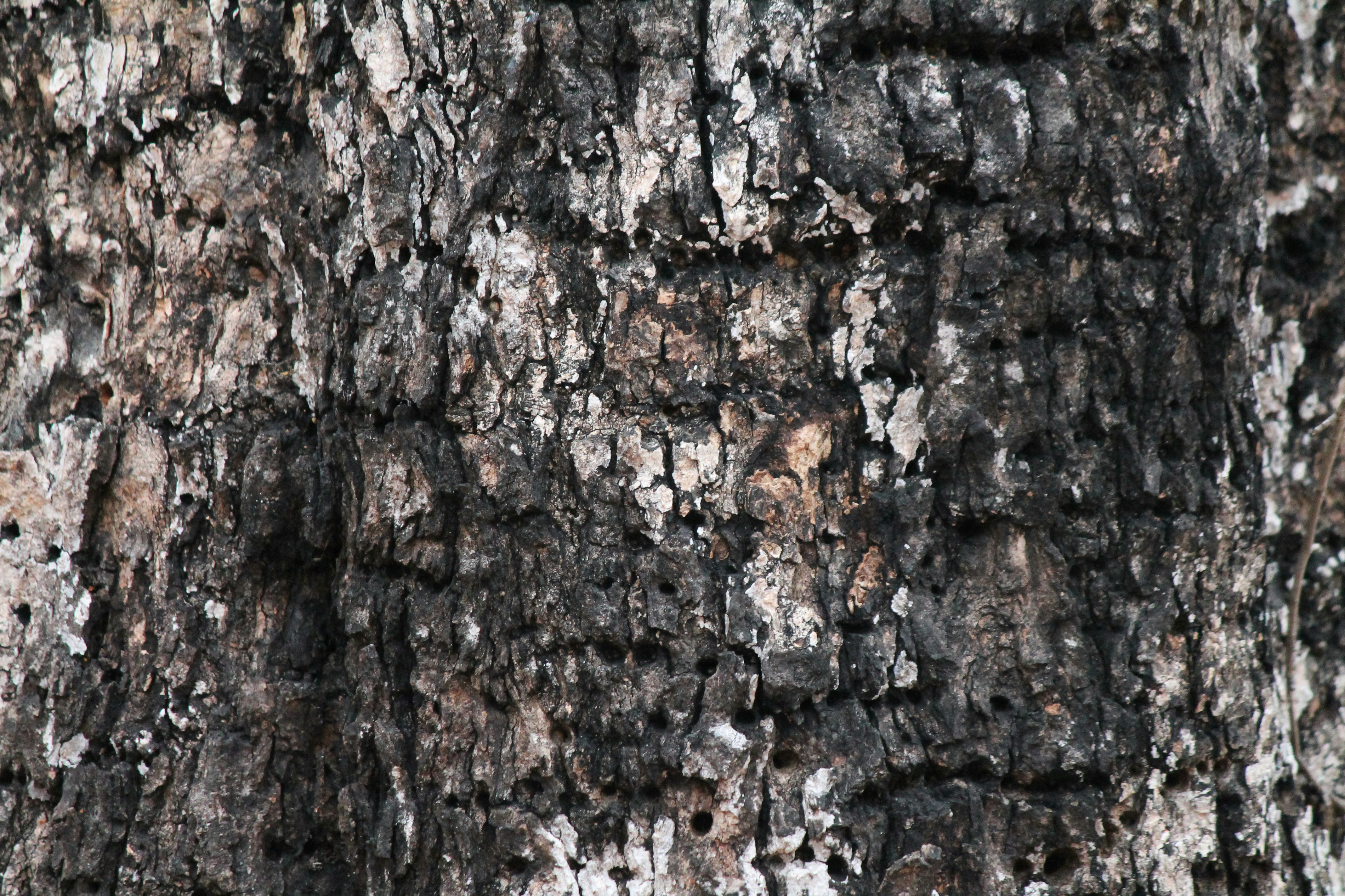 Photo by nick_kissam